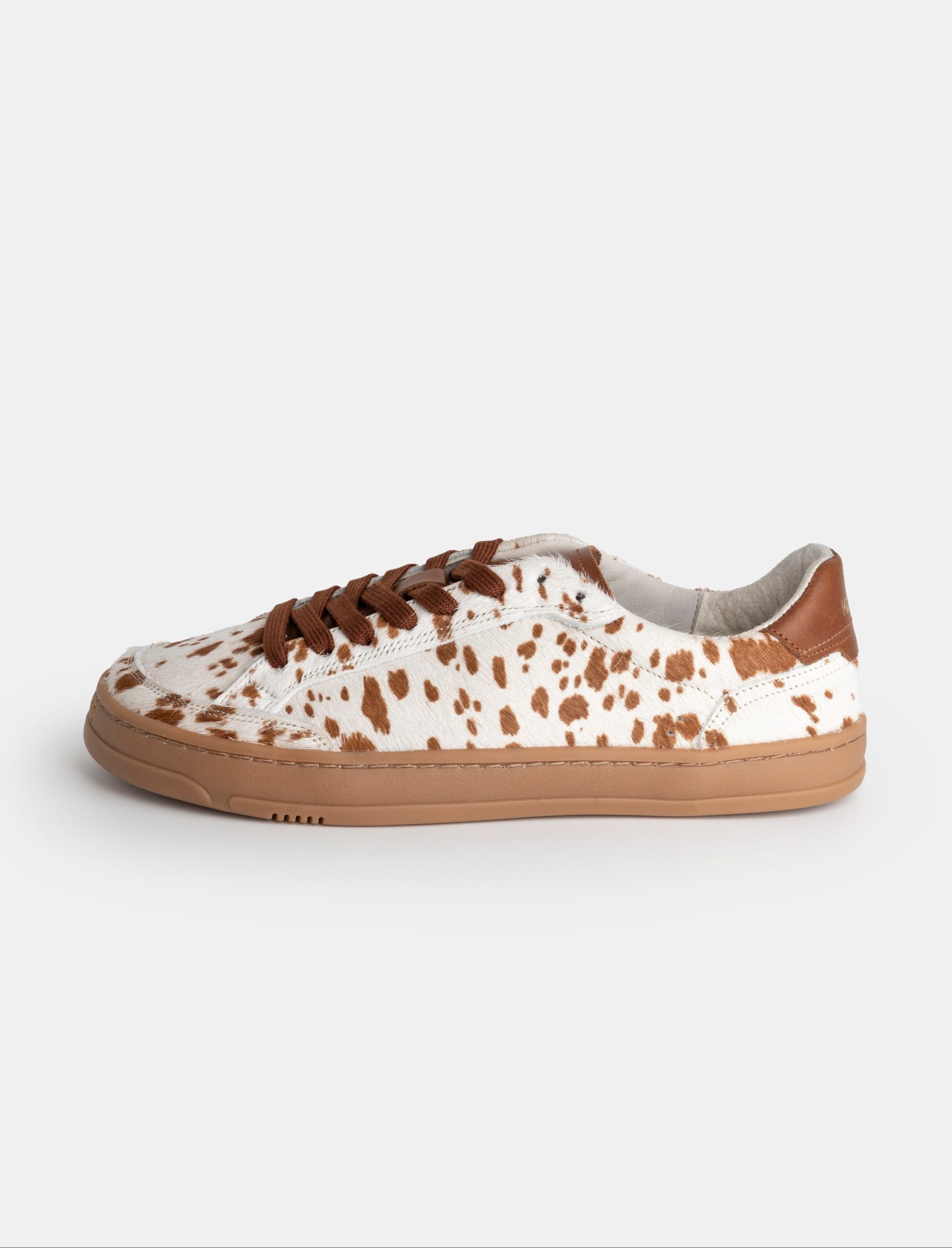 VENAN – GAZELLE