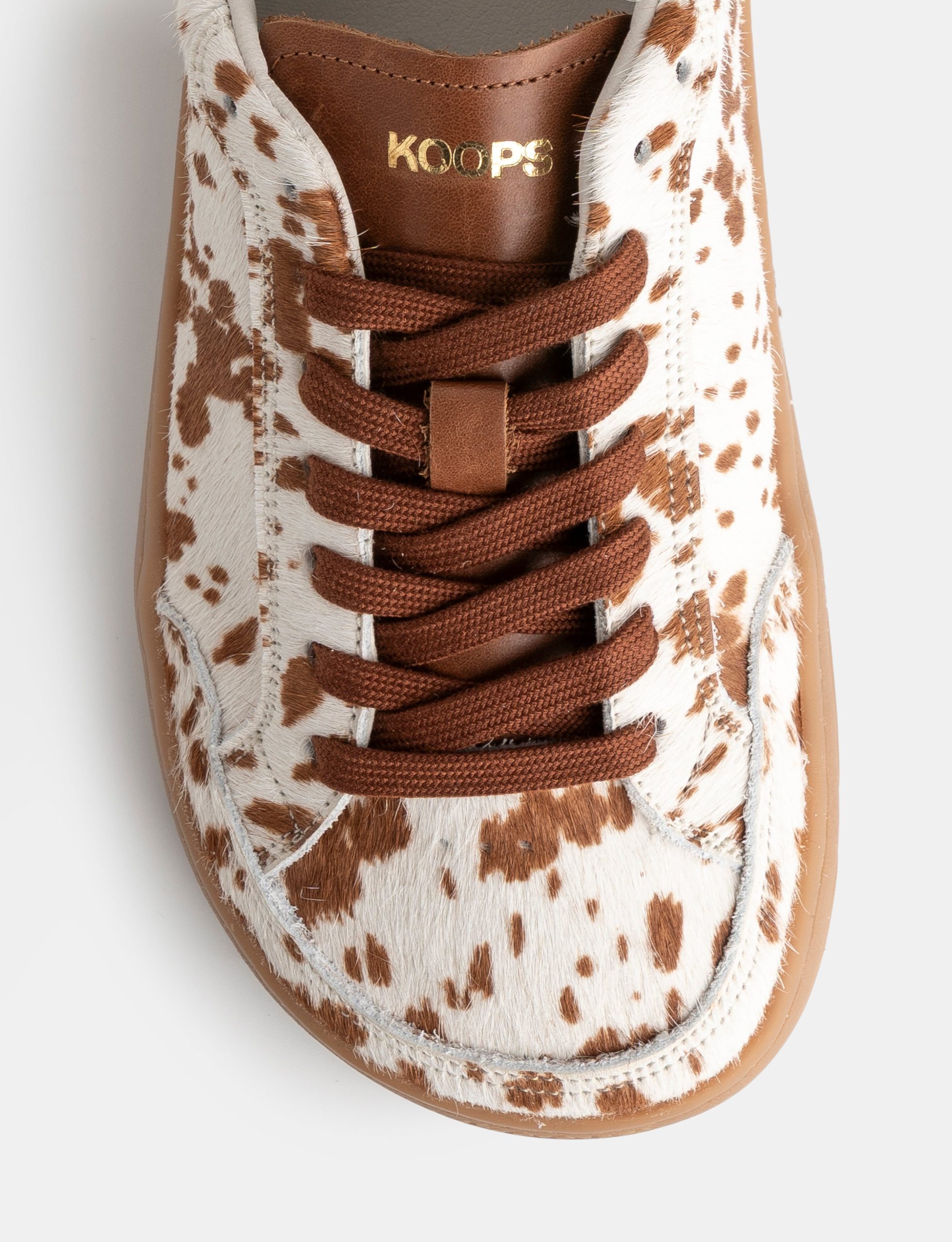VENAN – GAZELLE