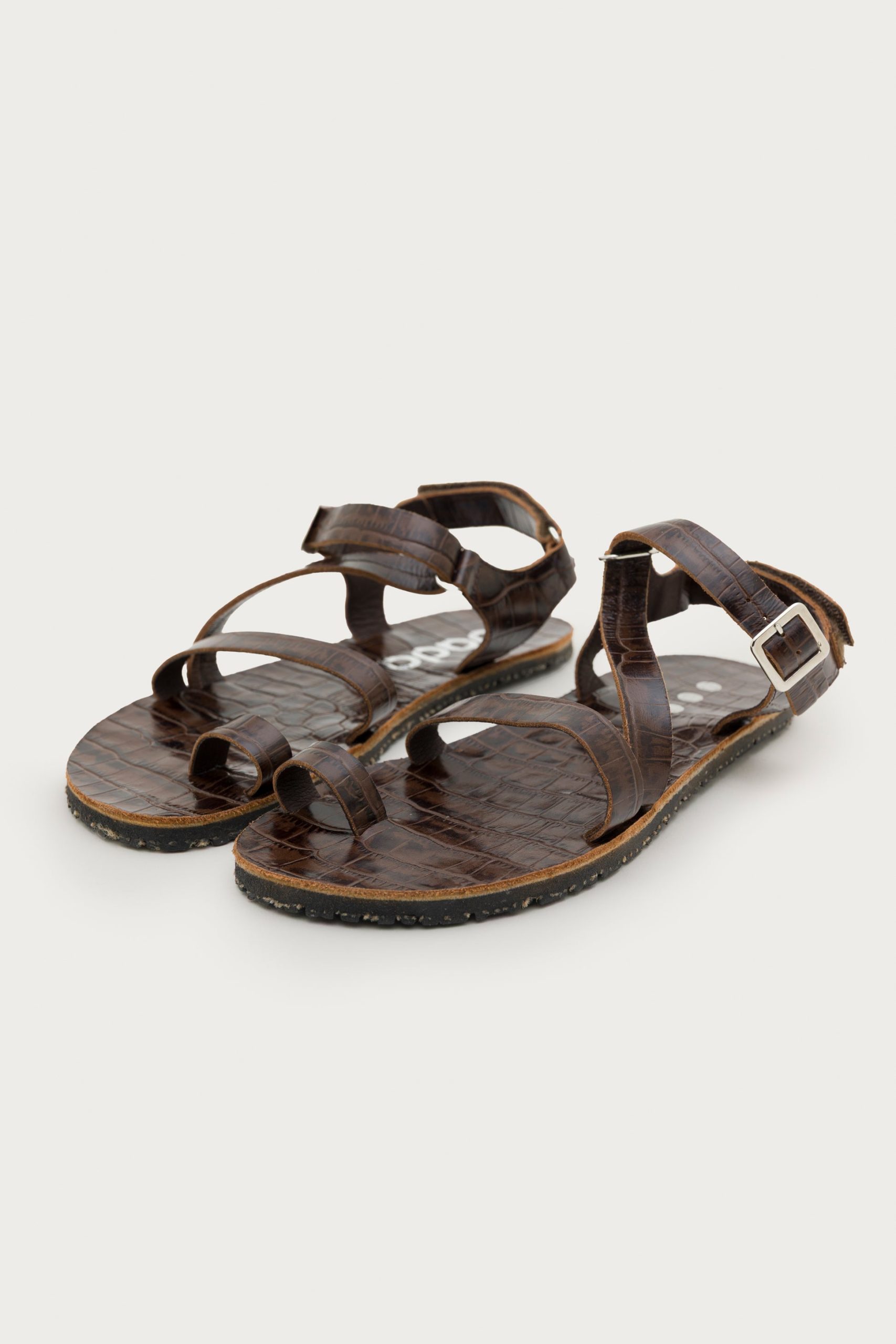 SENDA COCO – BARK