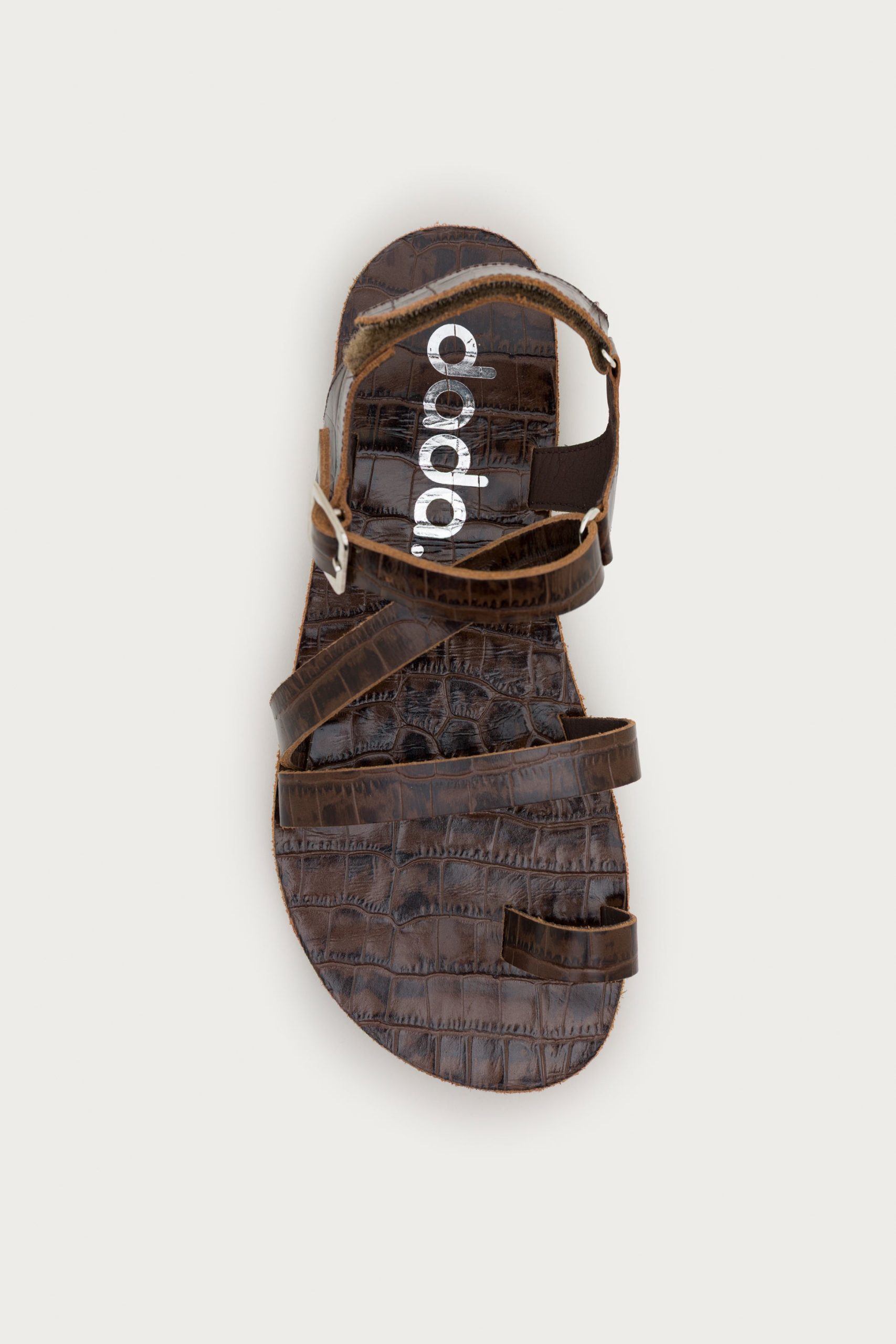 SENDA COCO – BARK