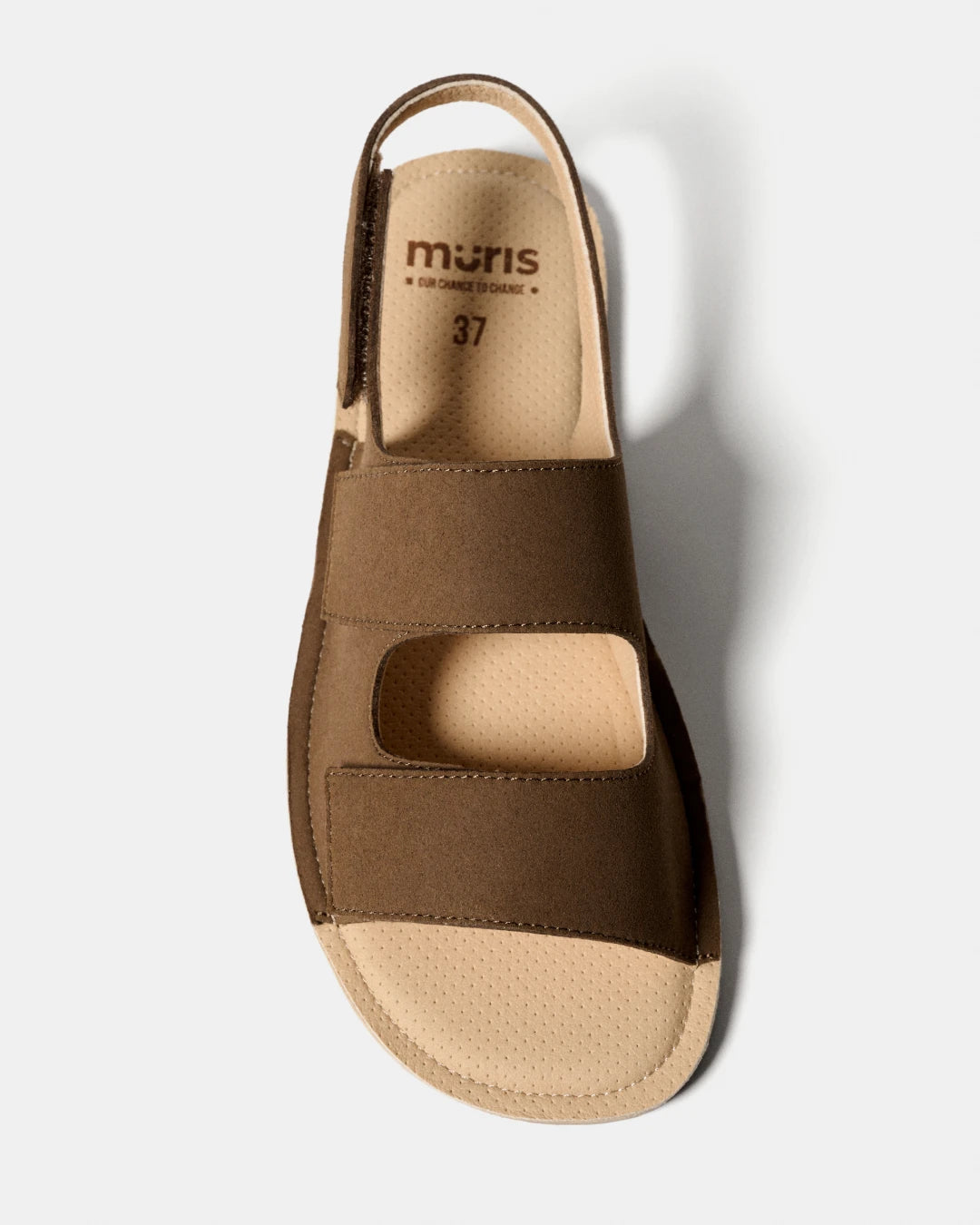 Rio – Bark Brown