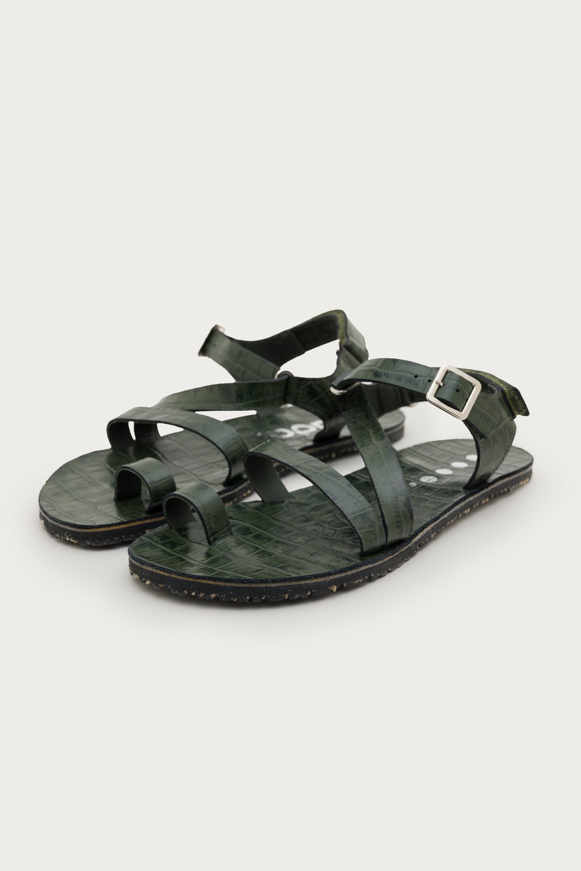SENDA COCO – MOSS
