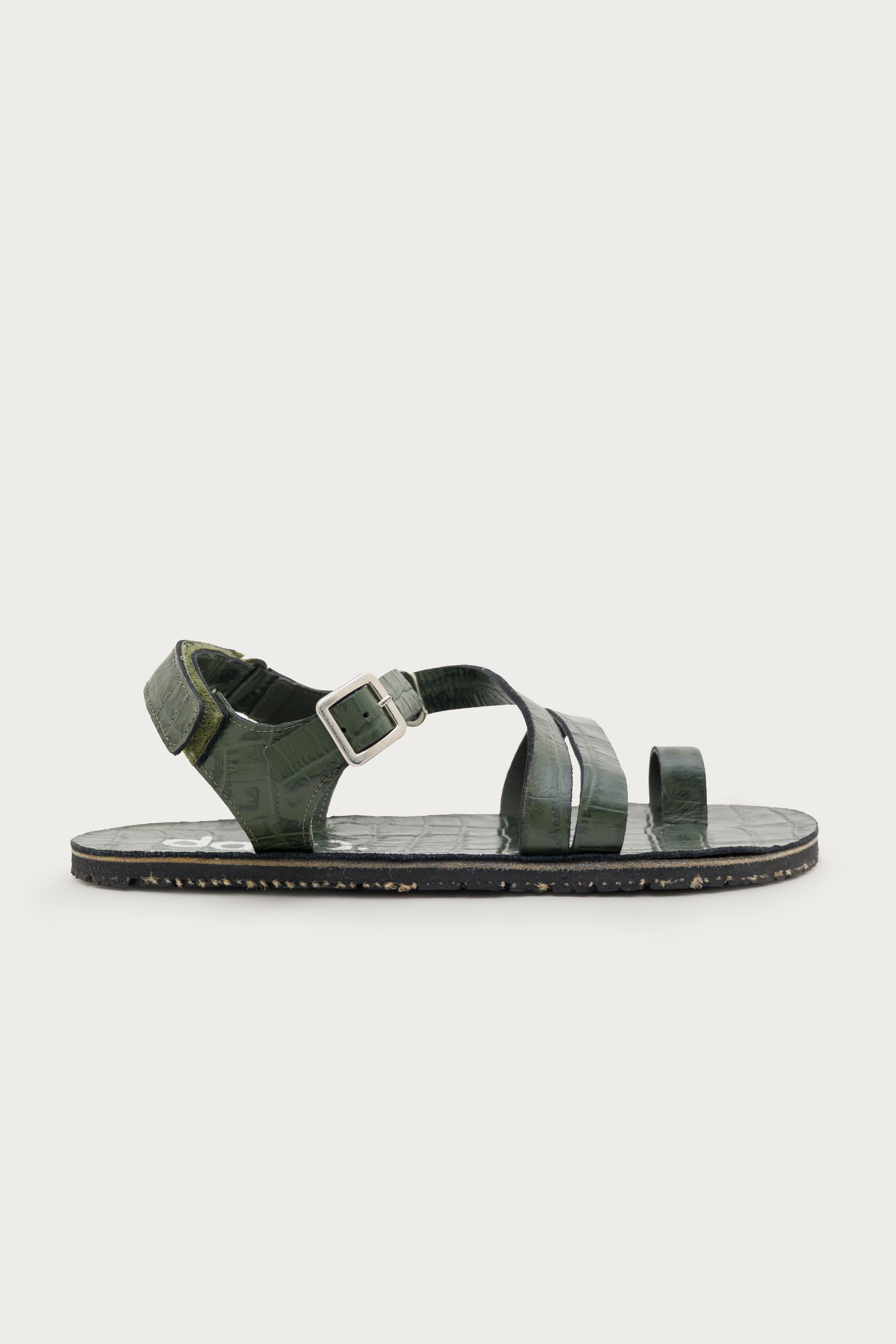 SENDA COCO – MOSS