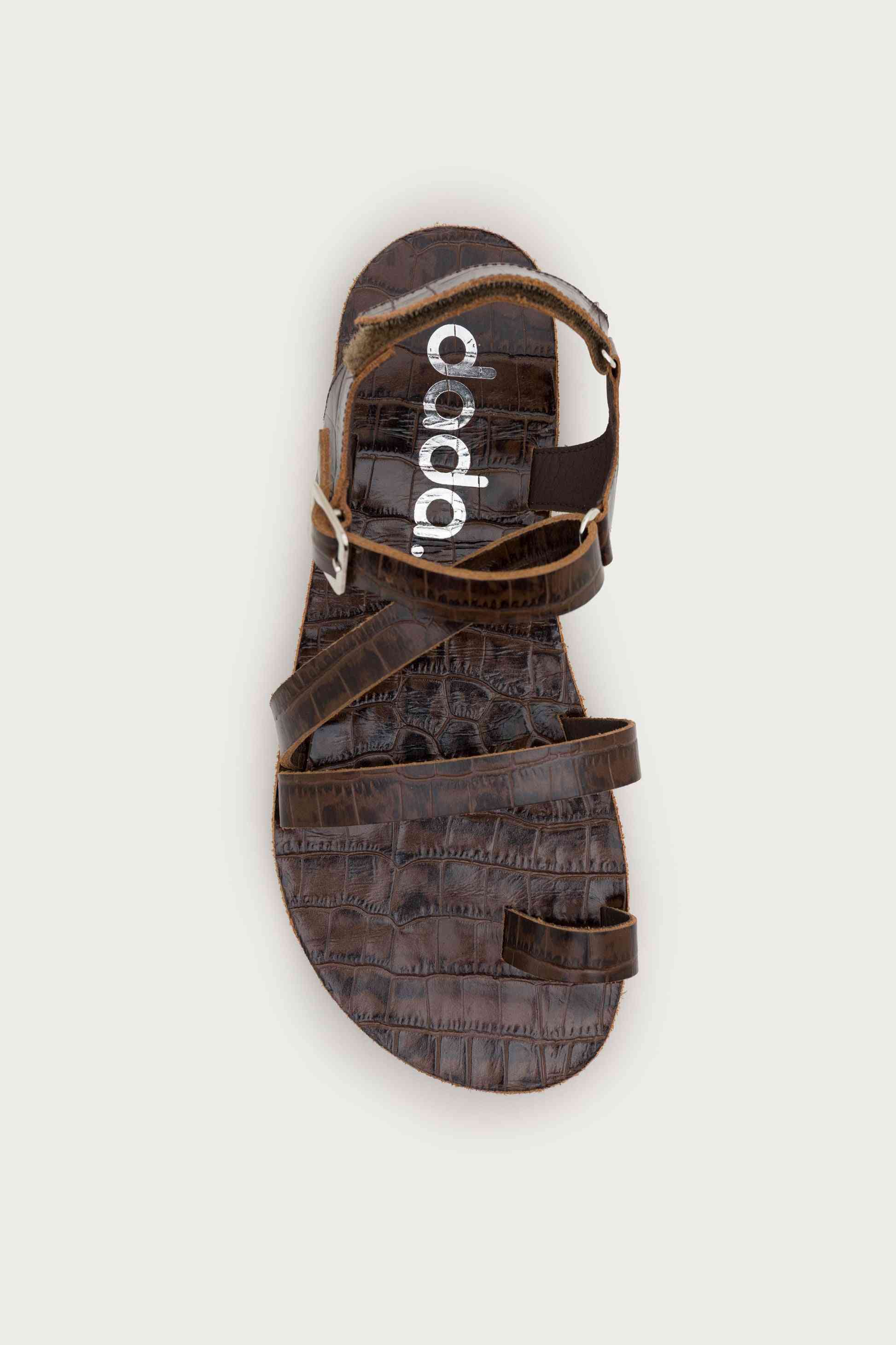 SENDA COCO – BARK
