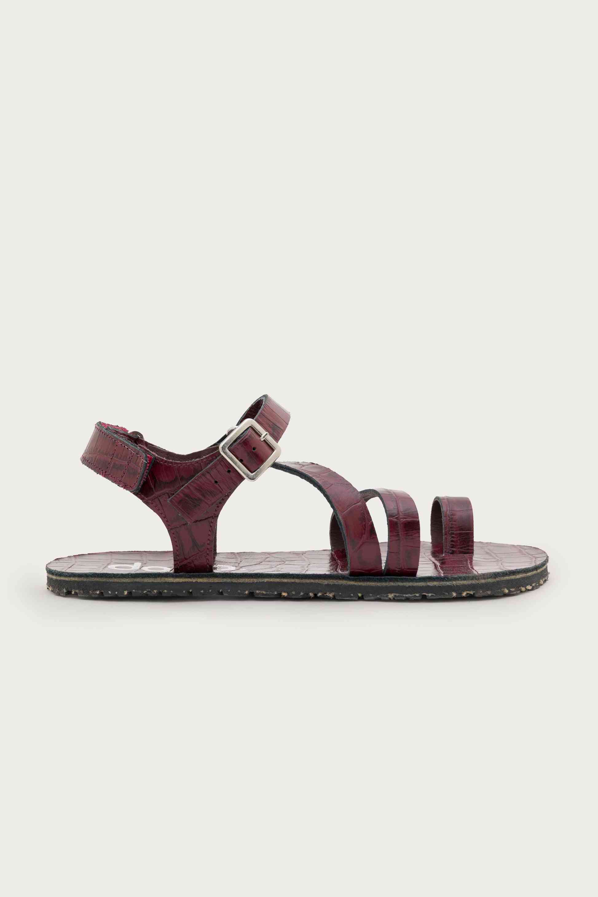SENDA COCO – RED