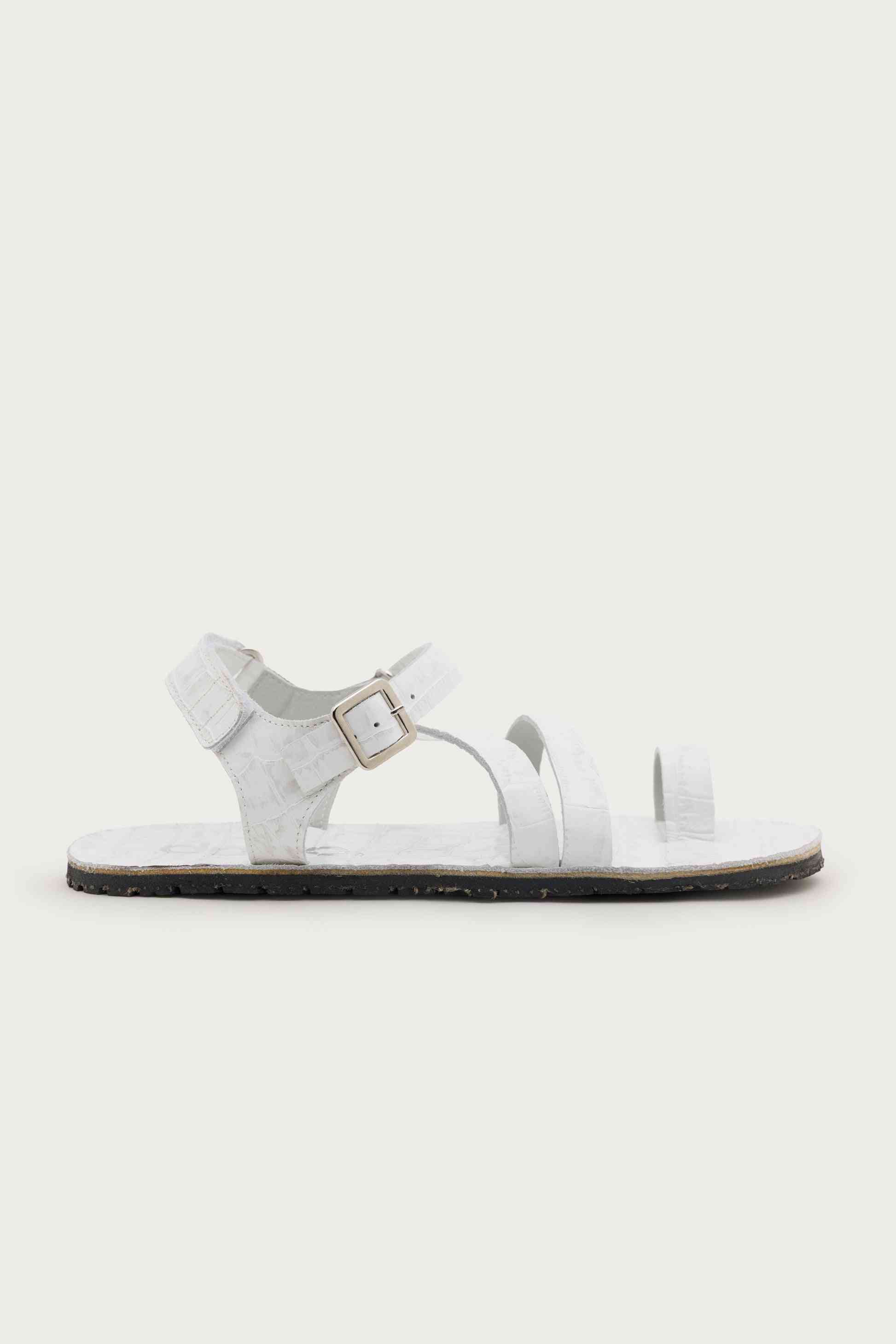 SENDA COCO – STONE