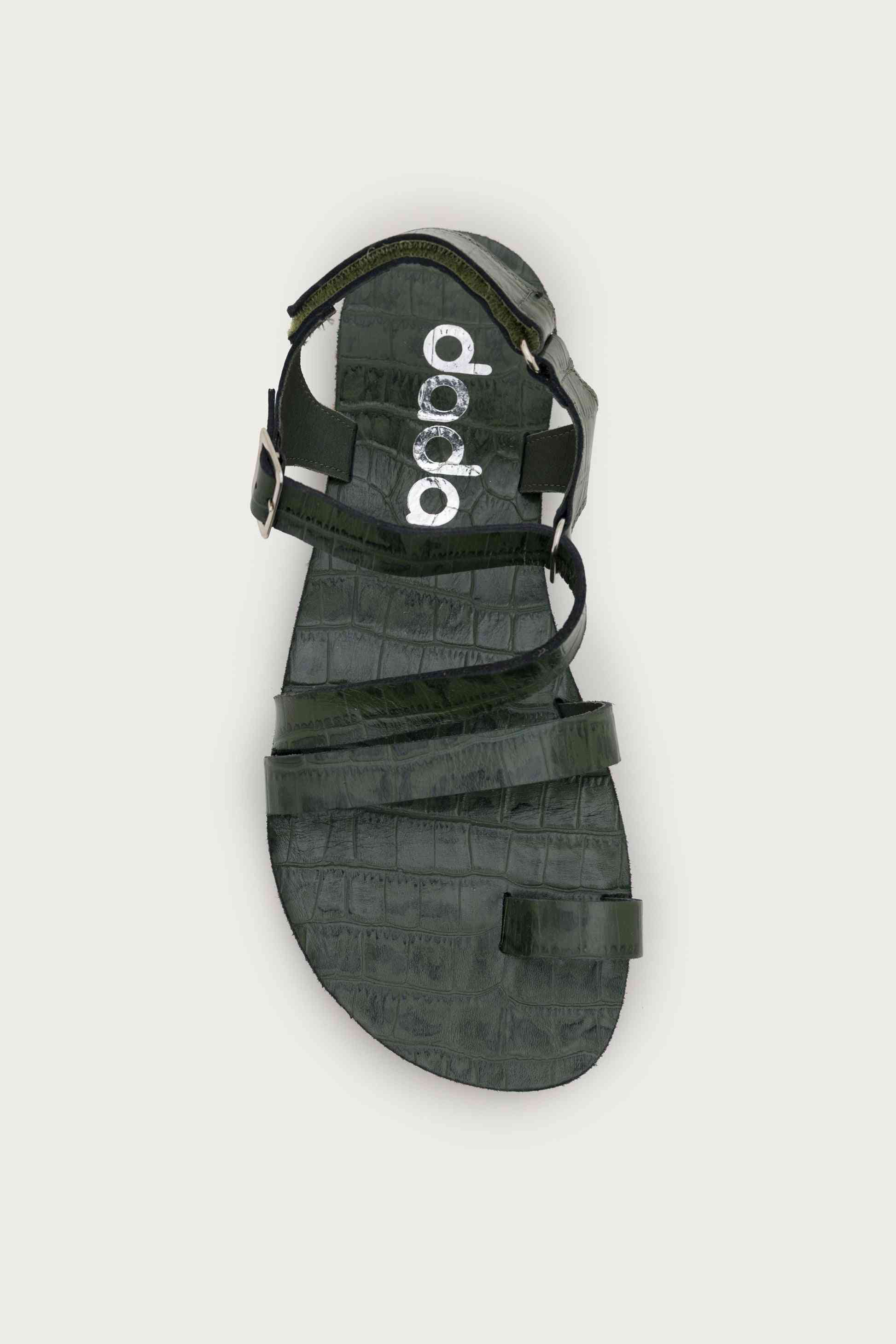 SENDA COCO – MOSS