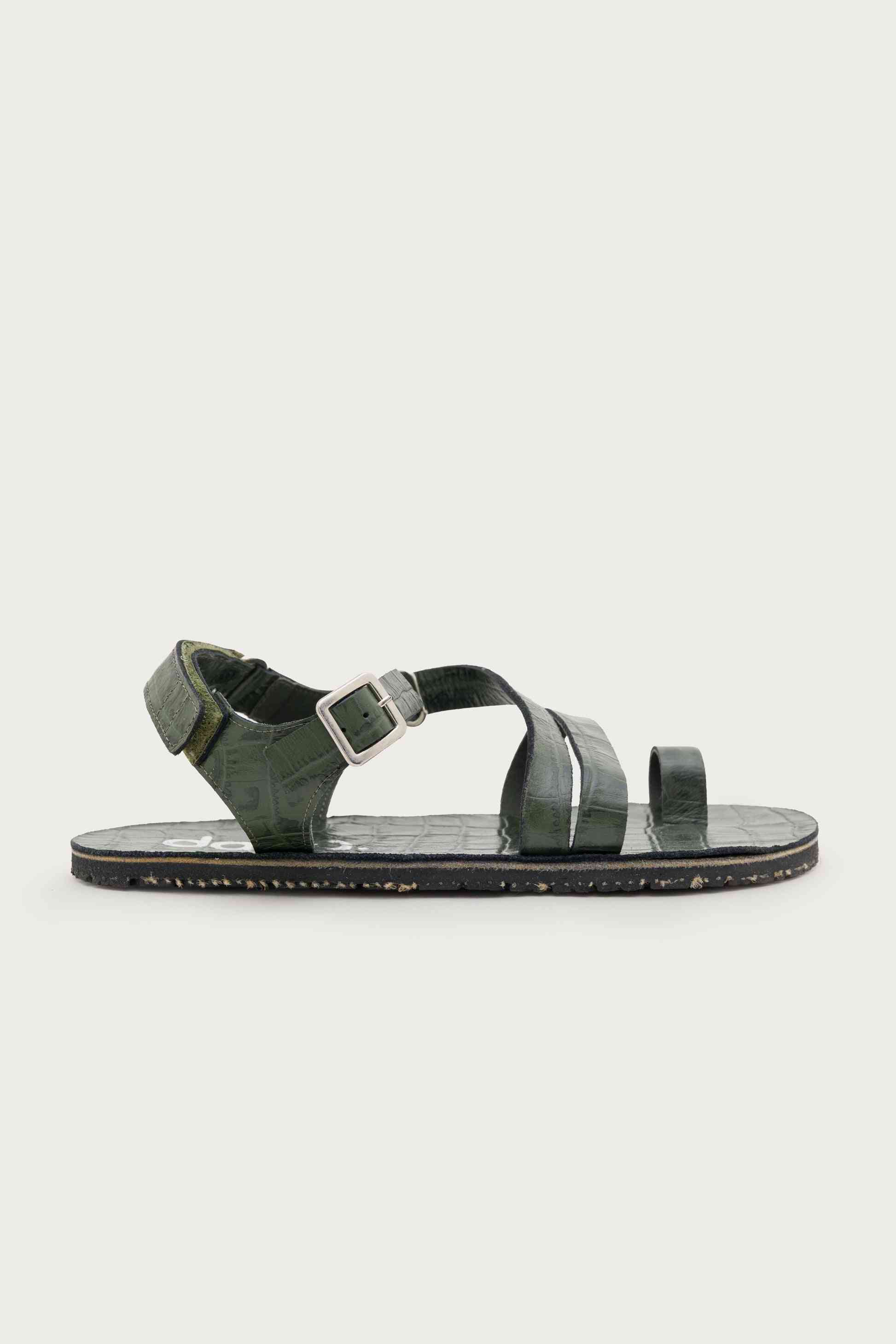 SENDA COCO – MOSS