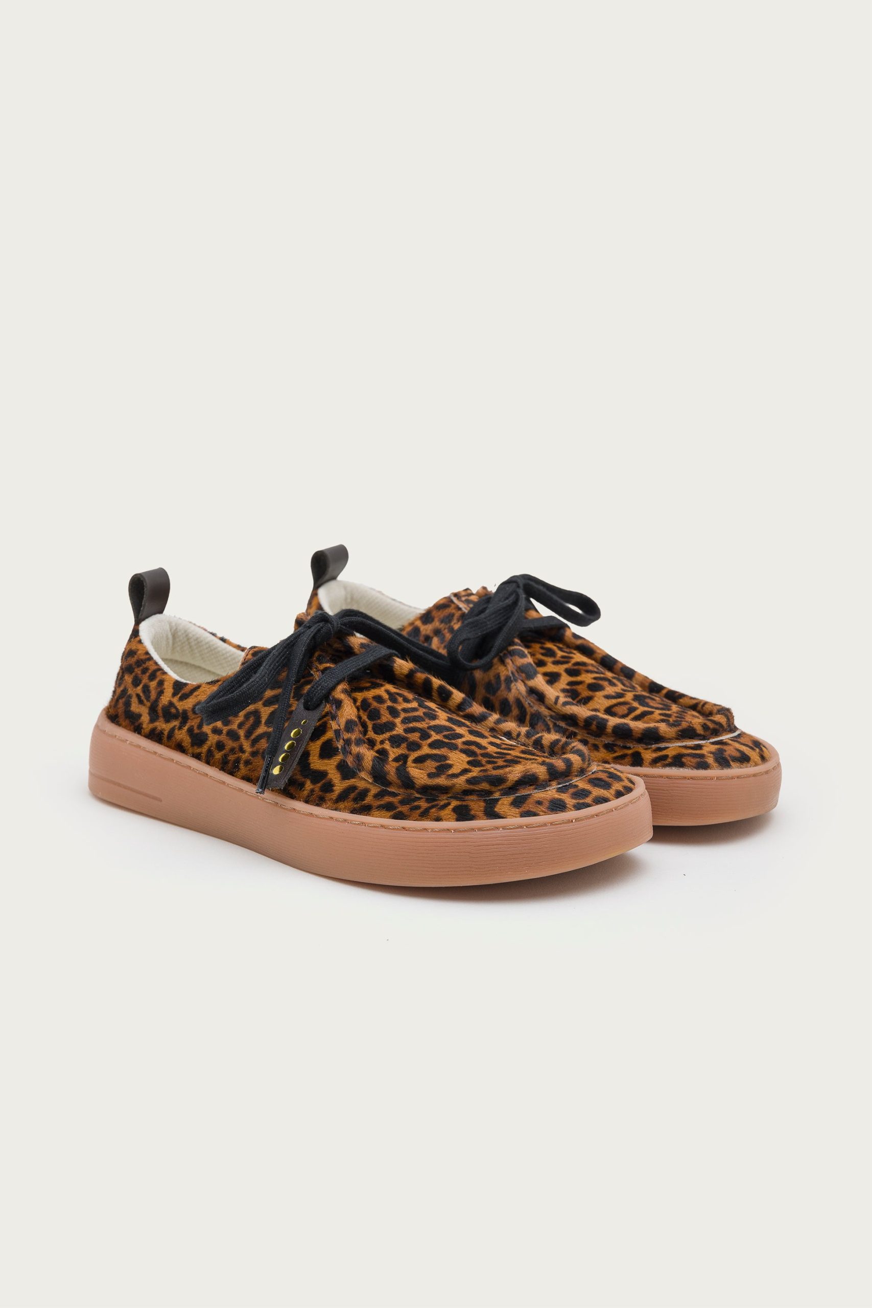ARENI – LEOPARD