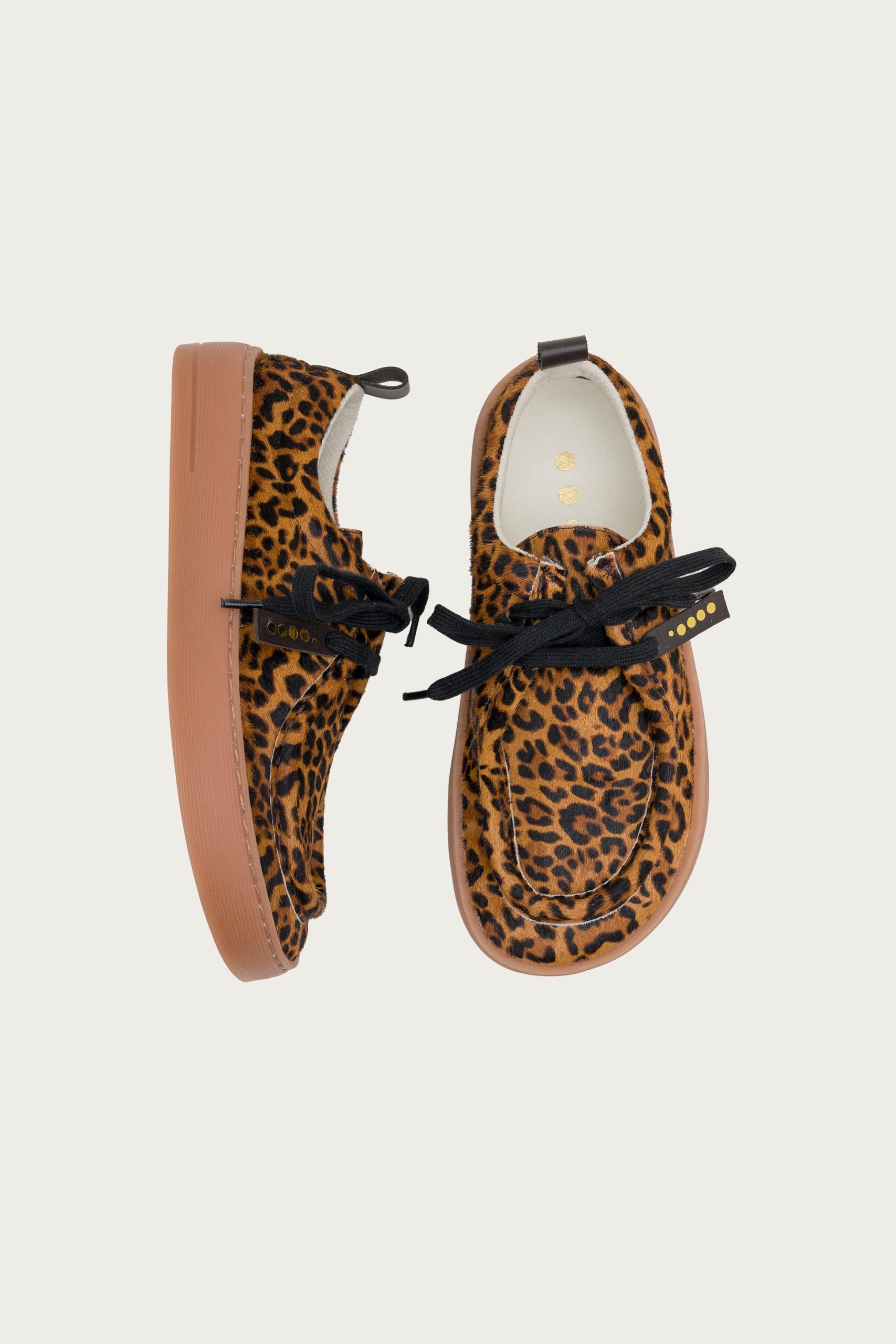 ARENI – LEOPARD