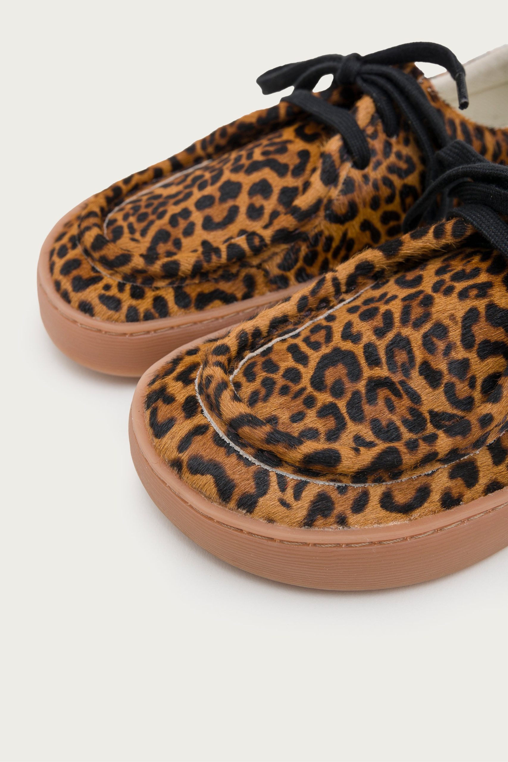 ARENI – LEOPARD