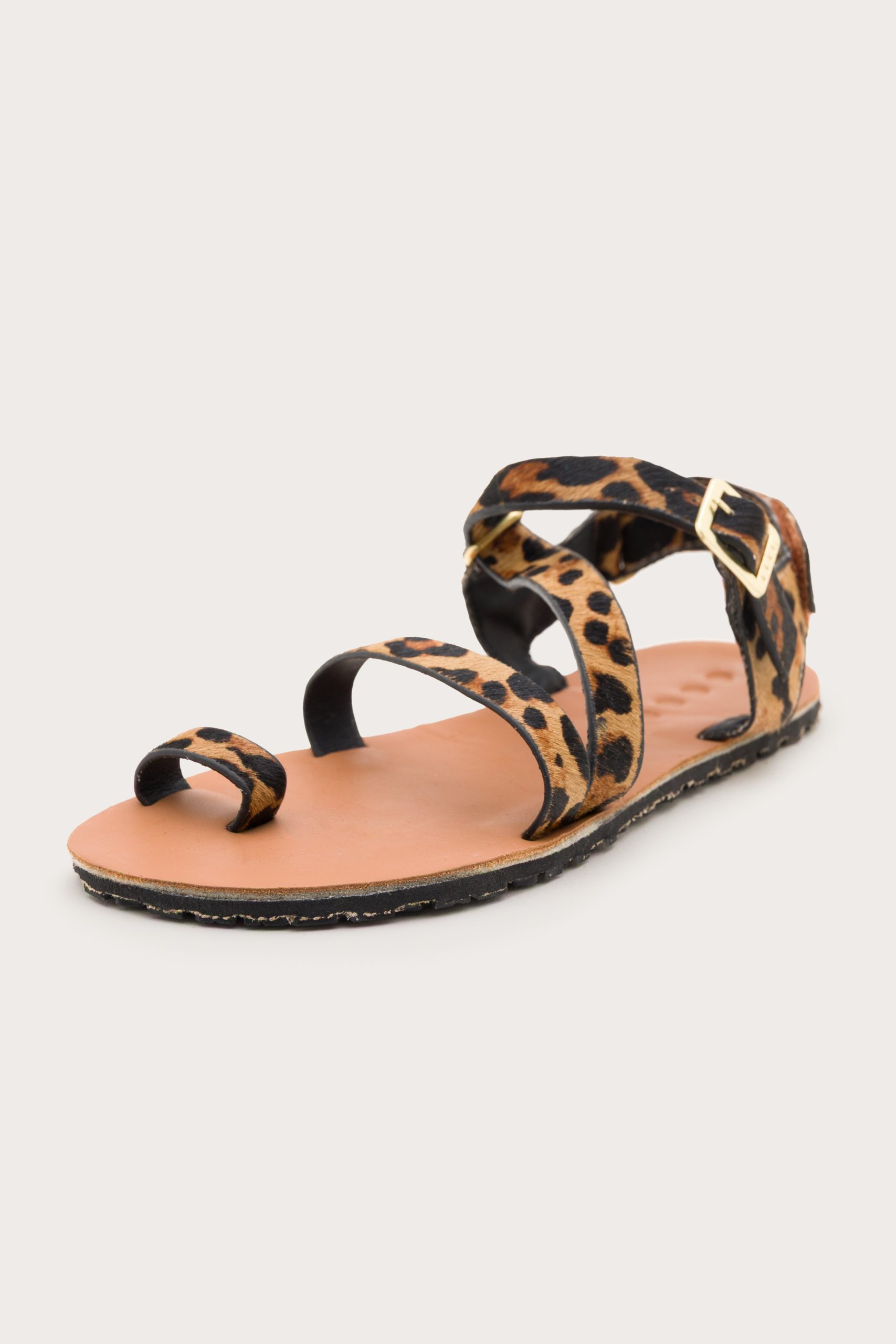 Senda – Leopard
