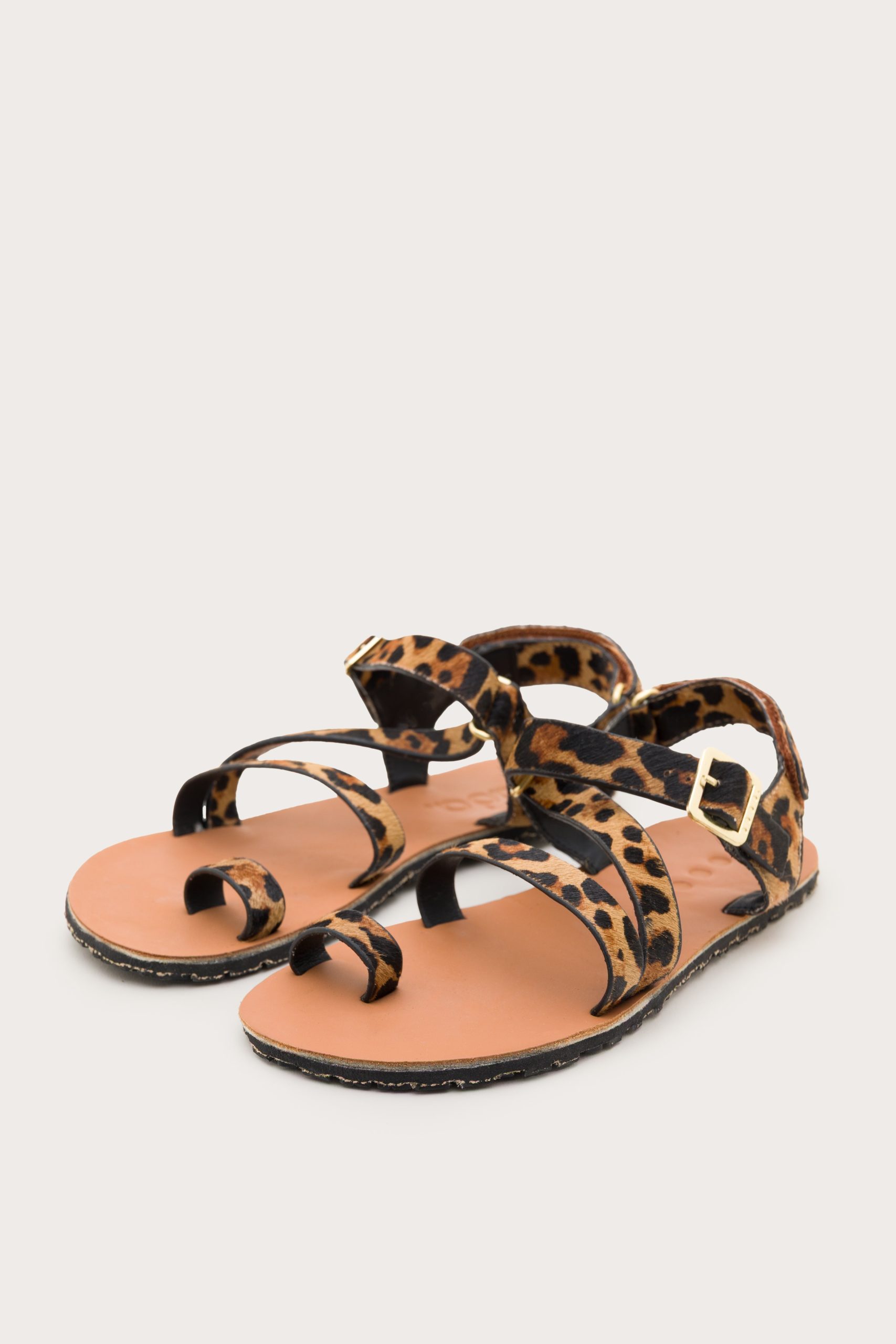 Senda – Leopard