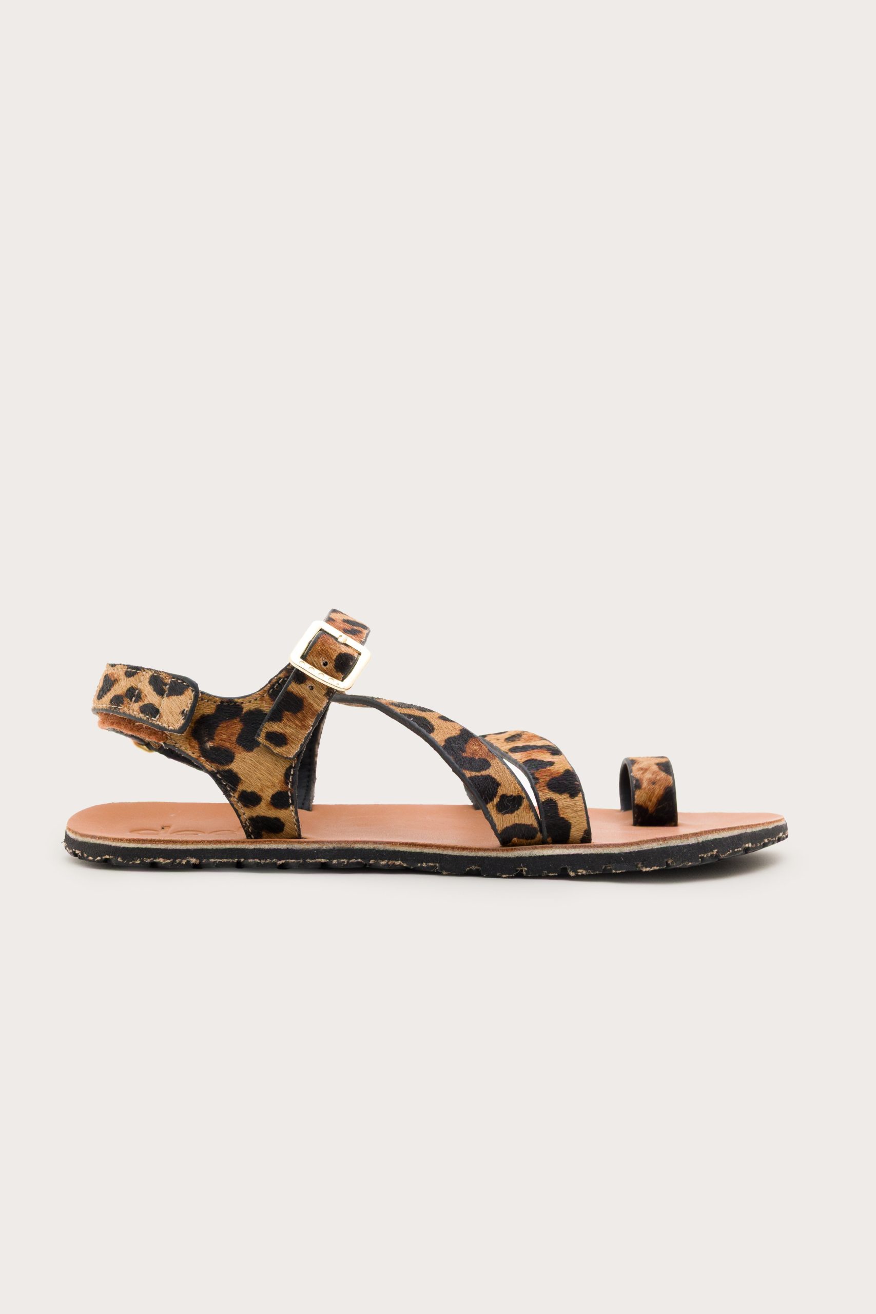 Senda – Leopard