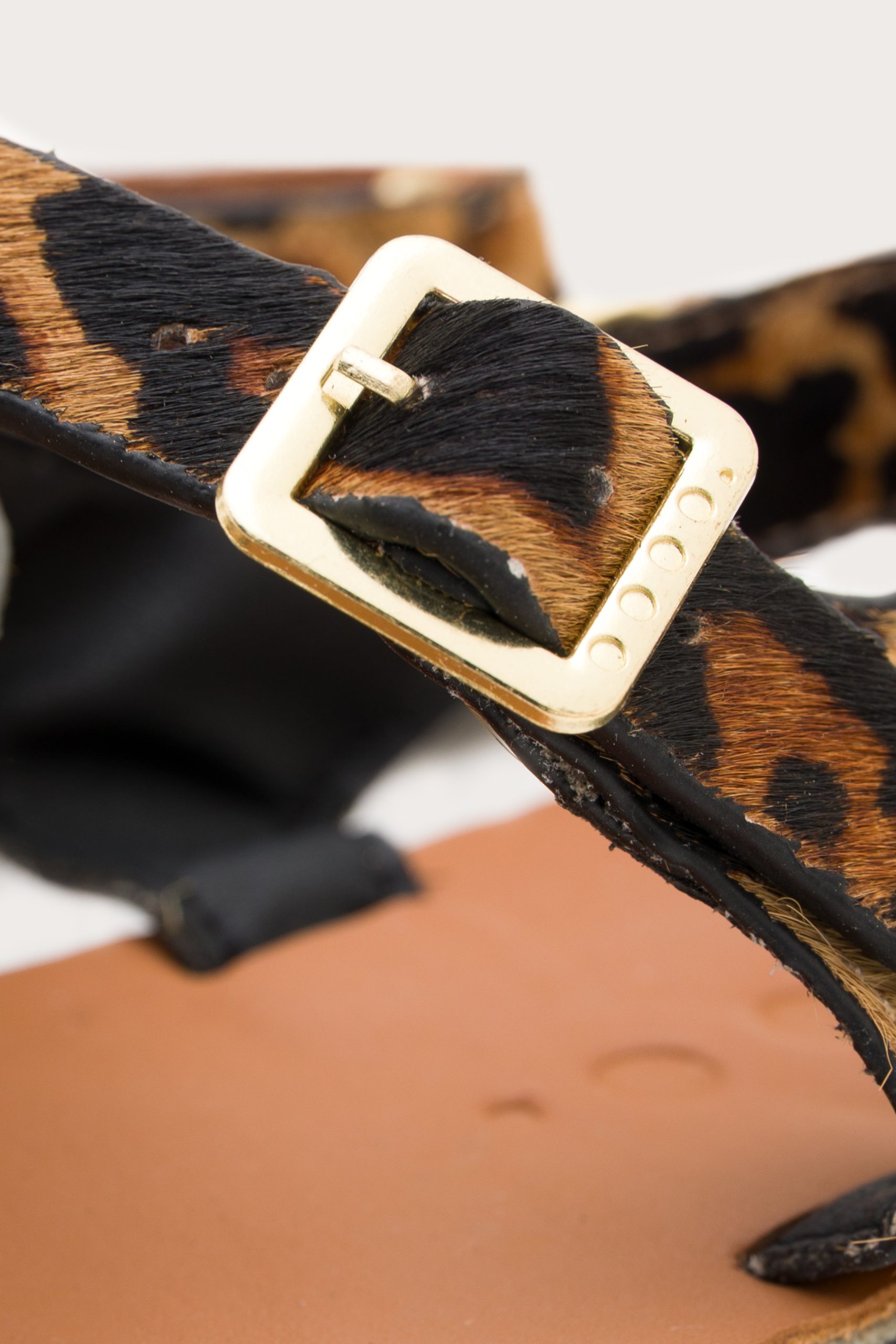 Senda – Leopard