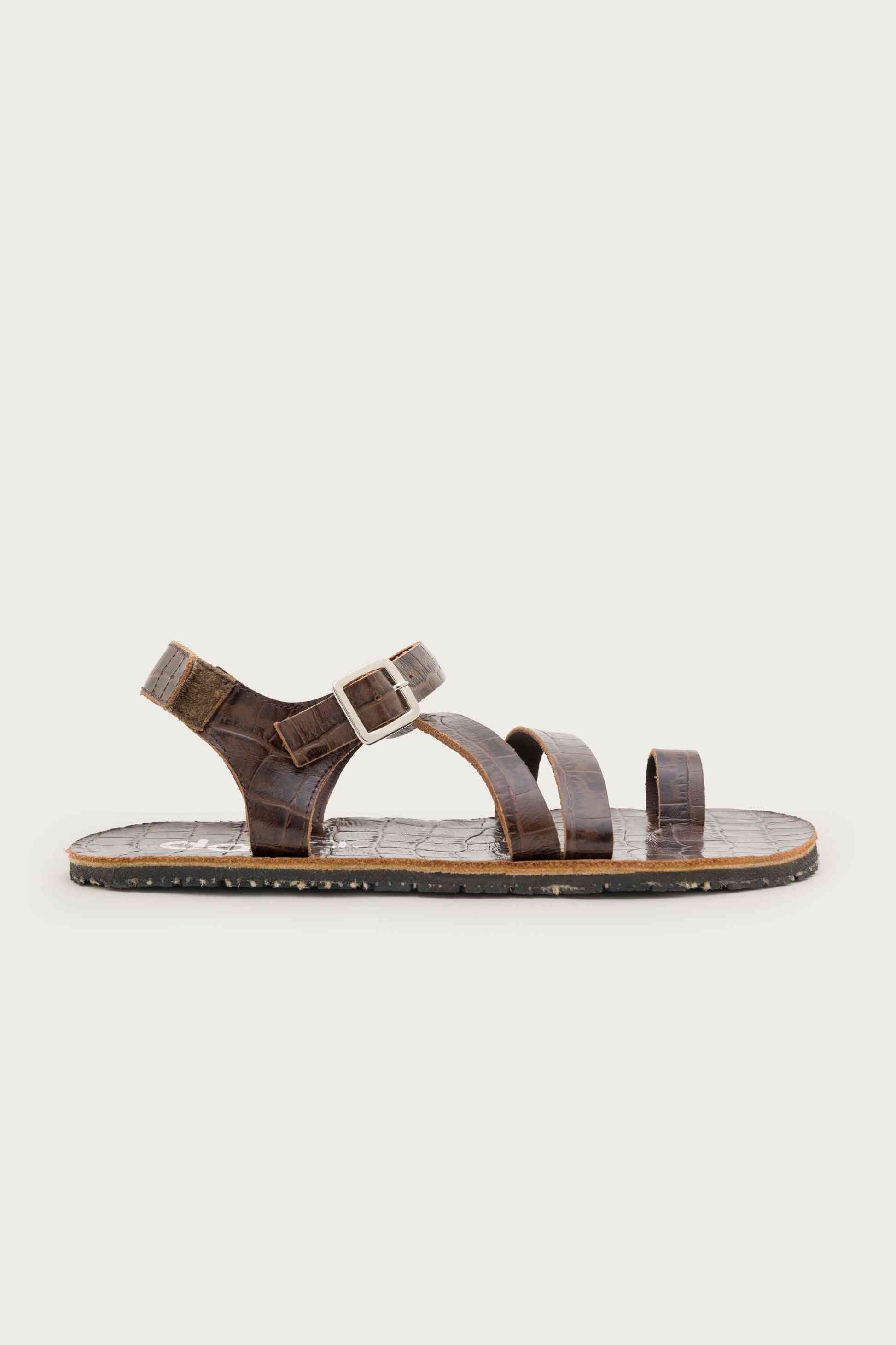 SENDA COCO – BARK