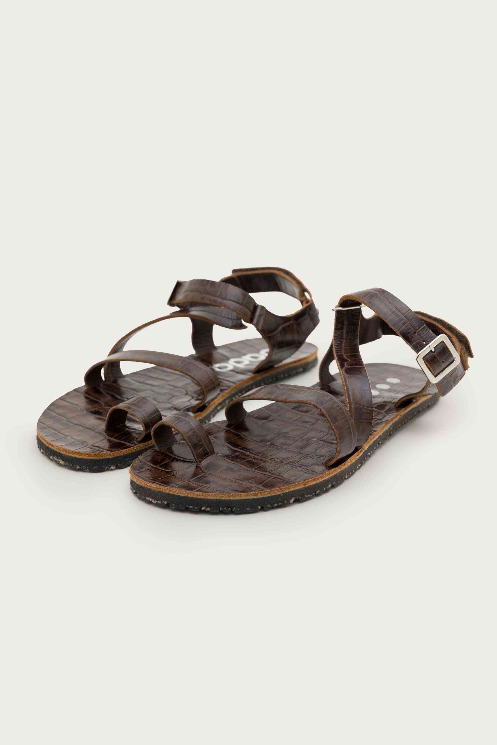SENDA COCO – BARK