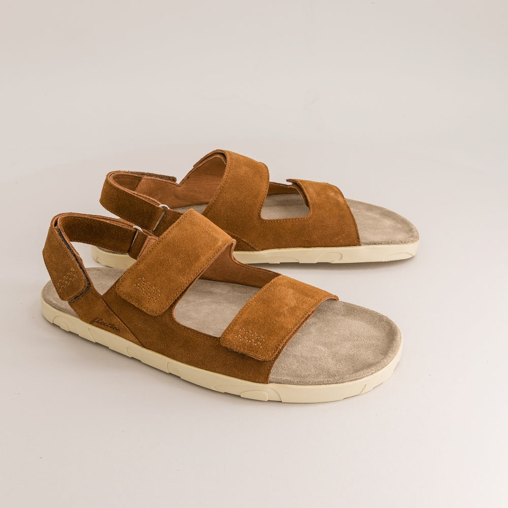 Palma – Brown