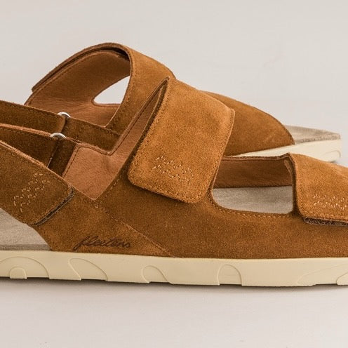Palma – Brown