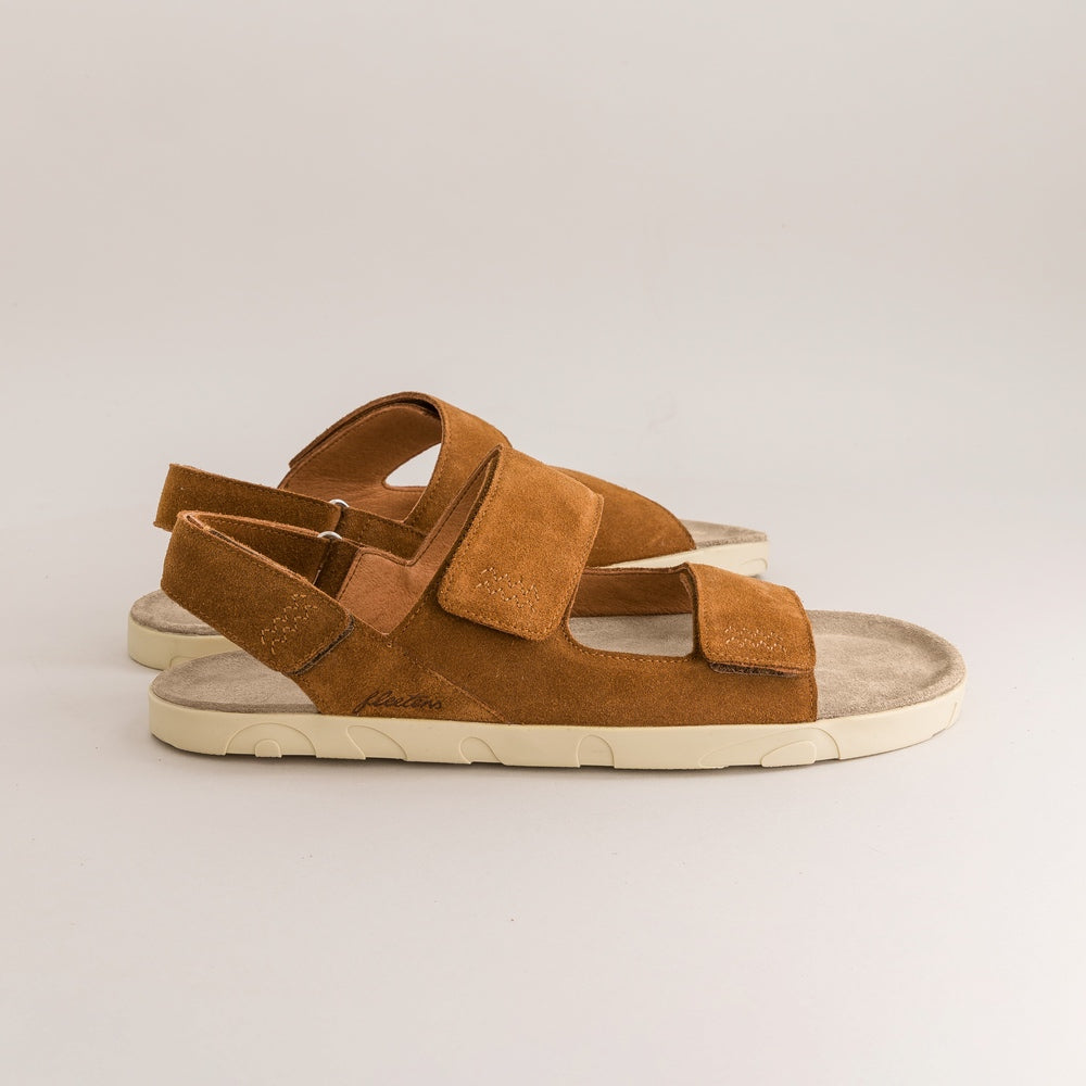 Palma – Brown