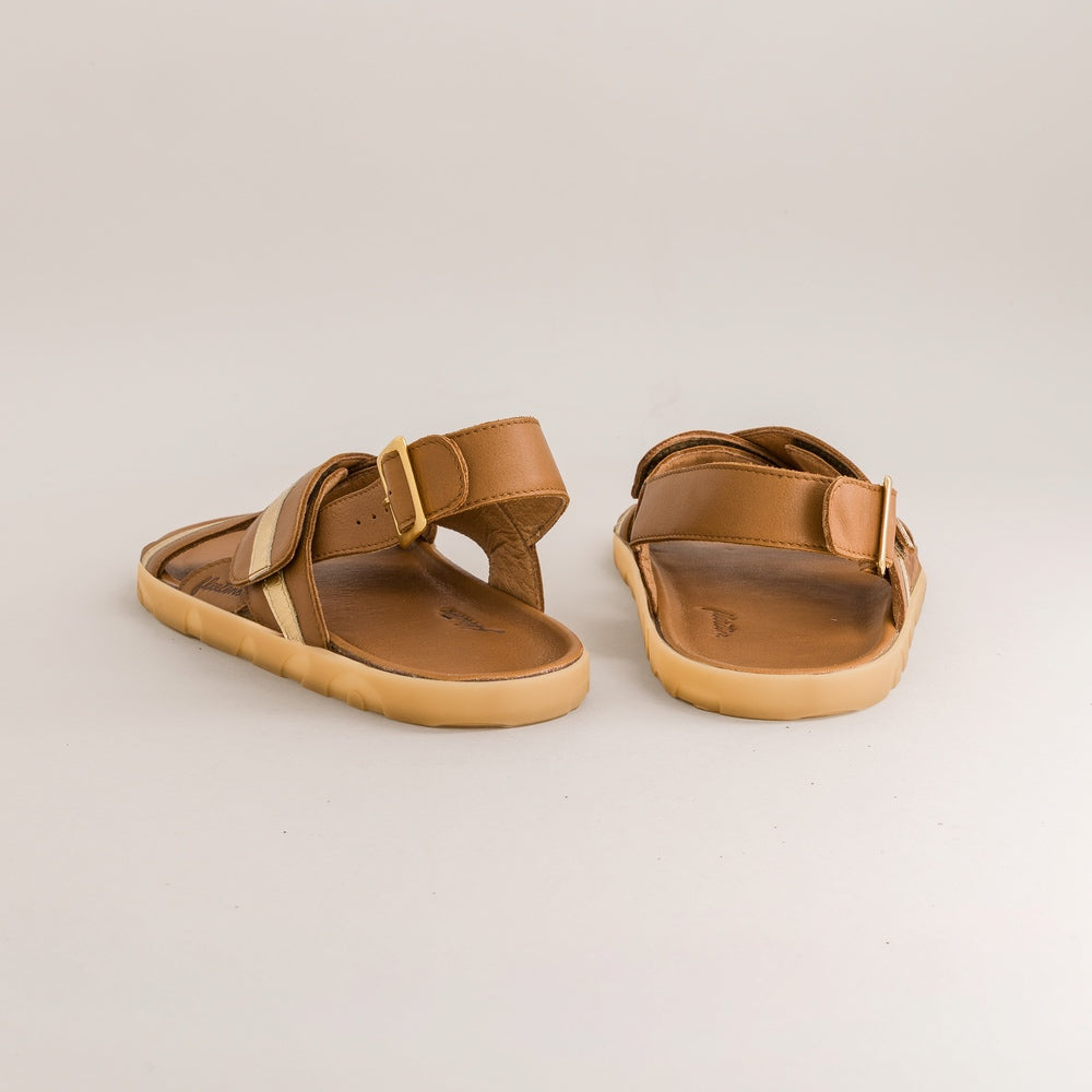 Papaya – Gold Brown