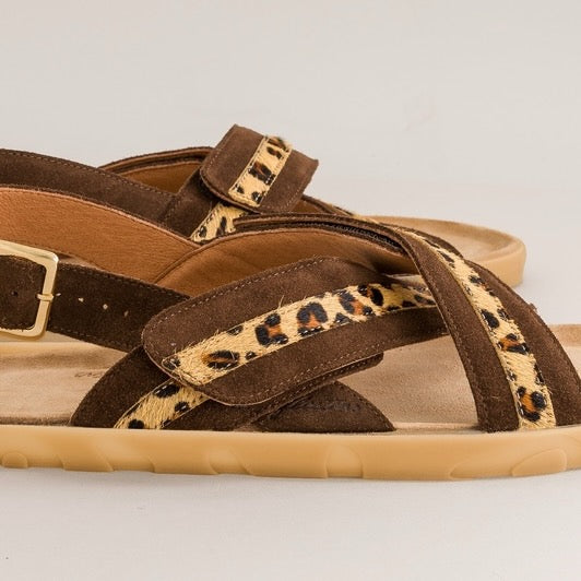 Papaya – Leopard Chocolate