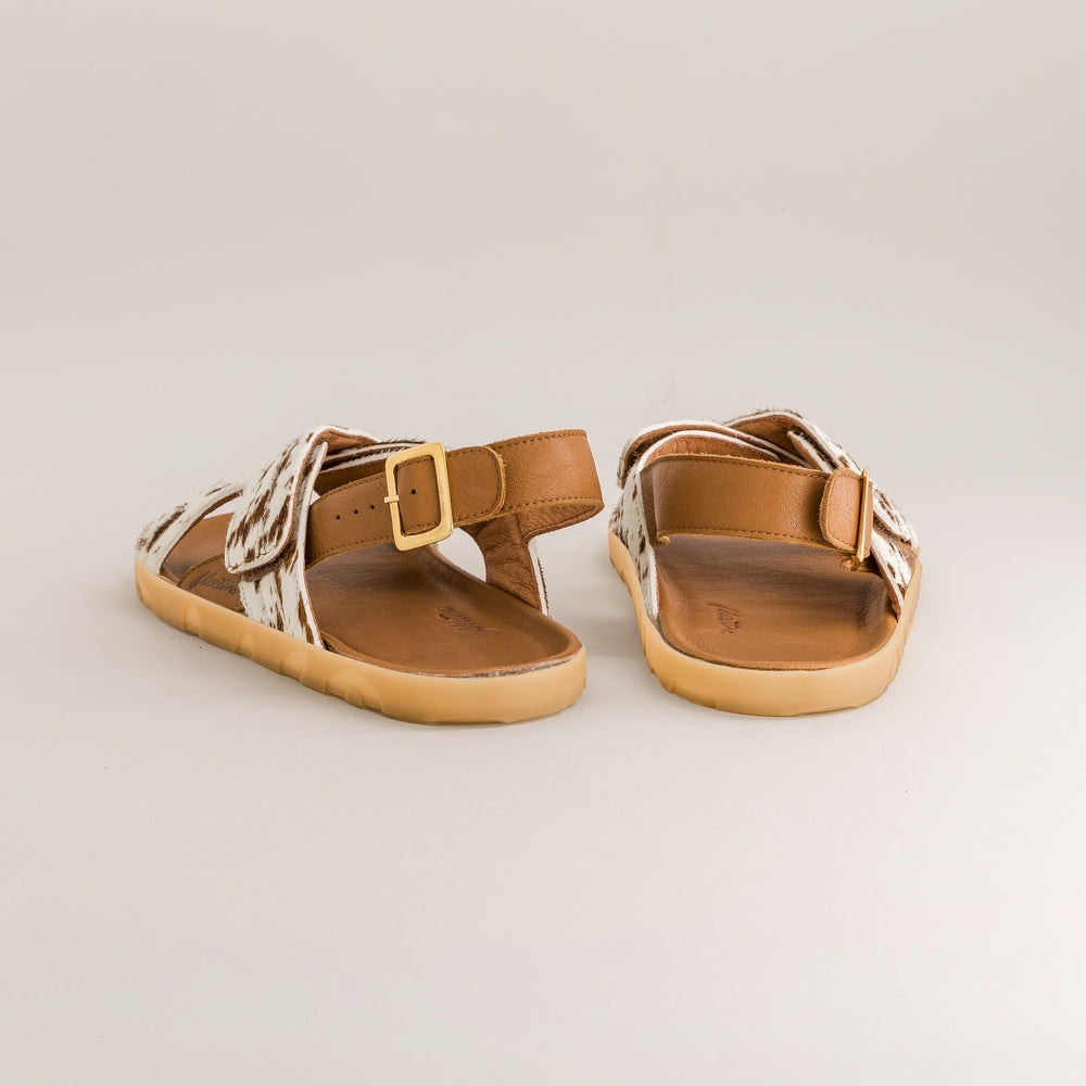 Papaya – Pony Chocolate
