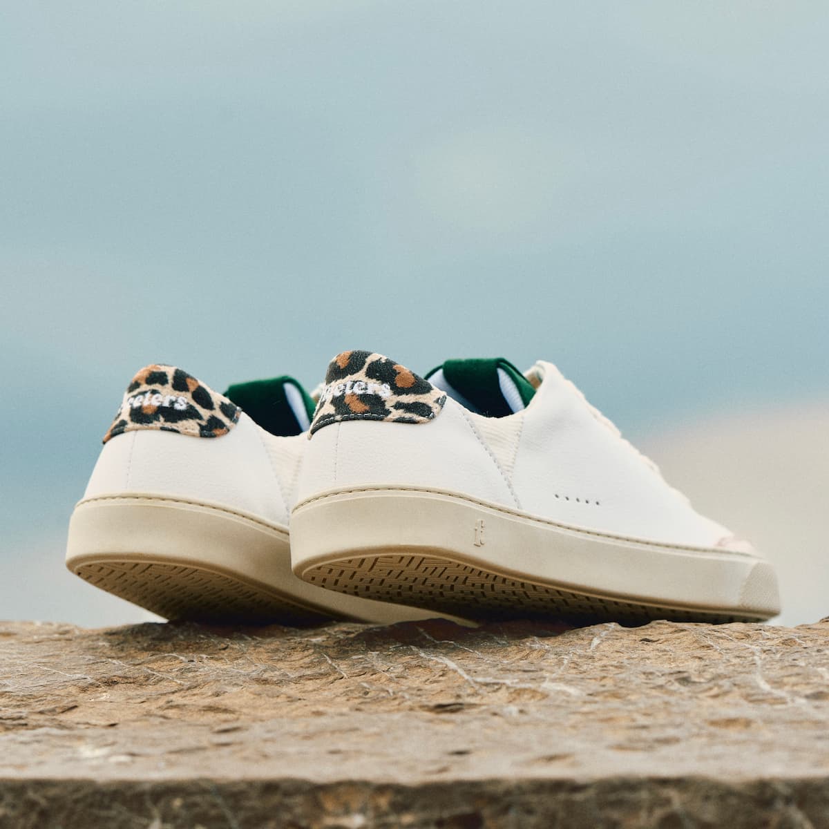 Lemon – Everest Leopard
