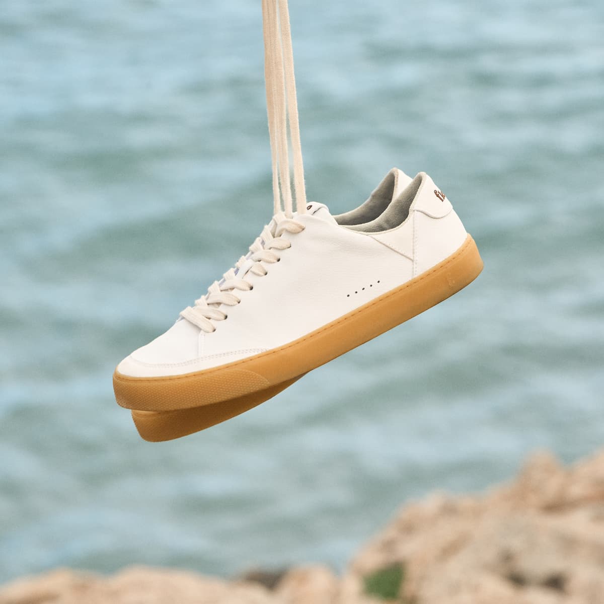 Lemon – White Gum