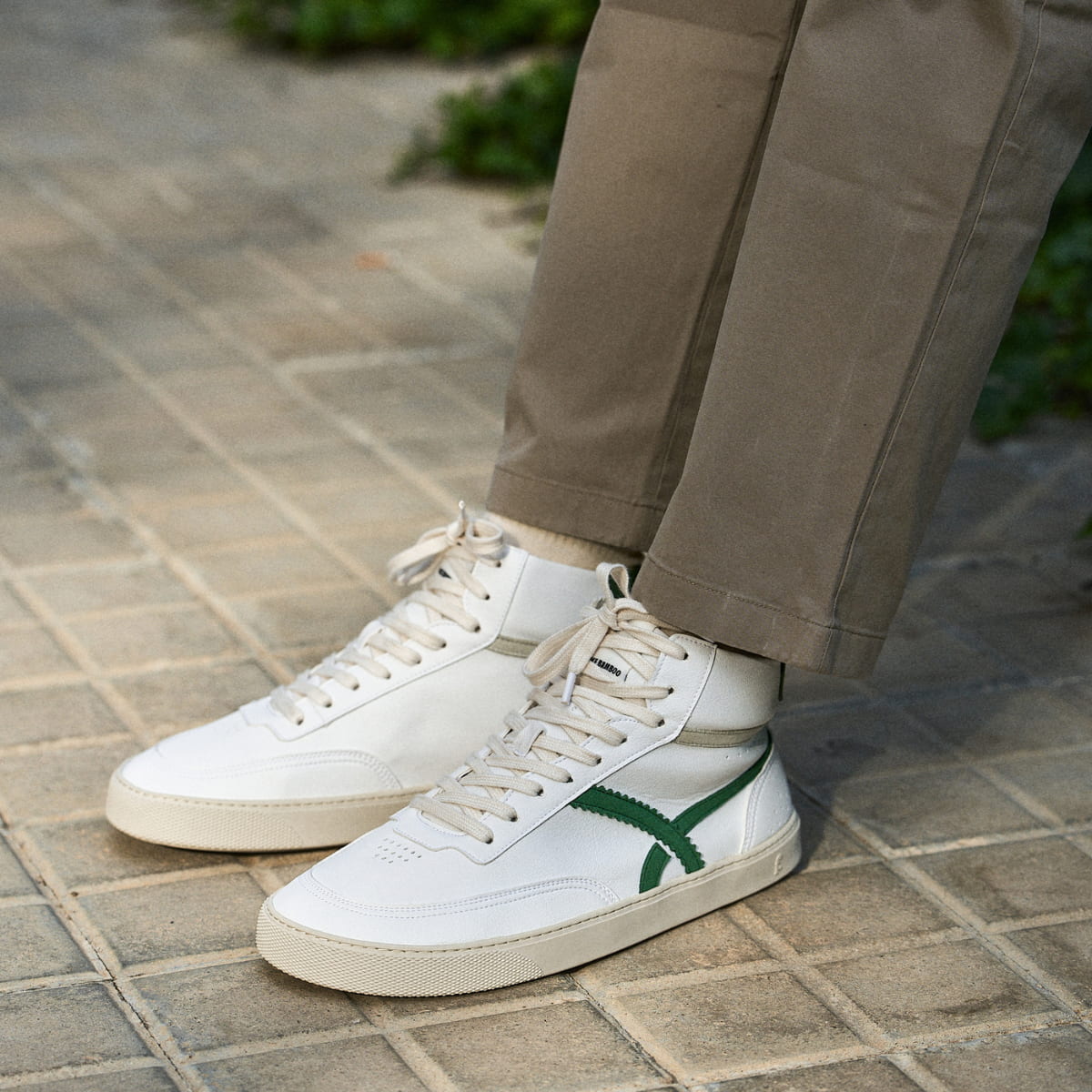Bamboo – Green
