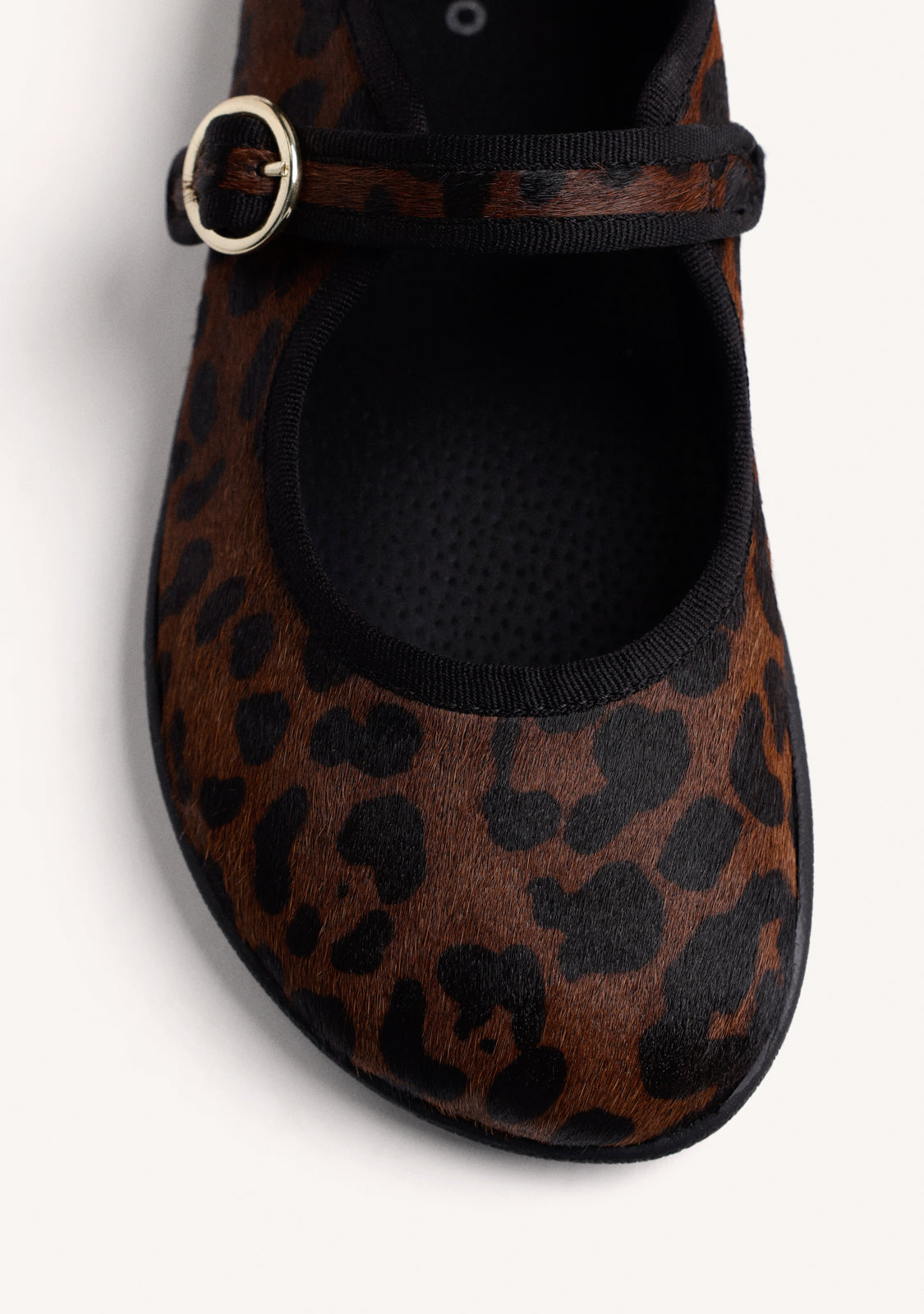 80626 – Leopard