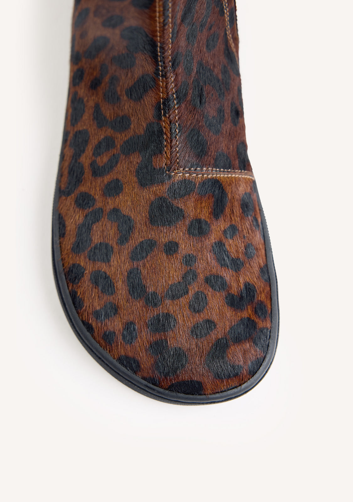 80956 – Leopard