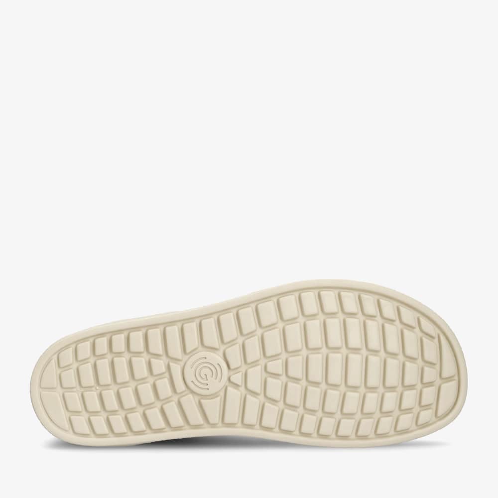 Nova Special Women – Black/Crocodile