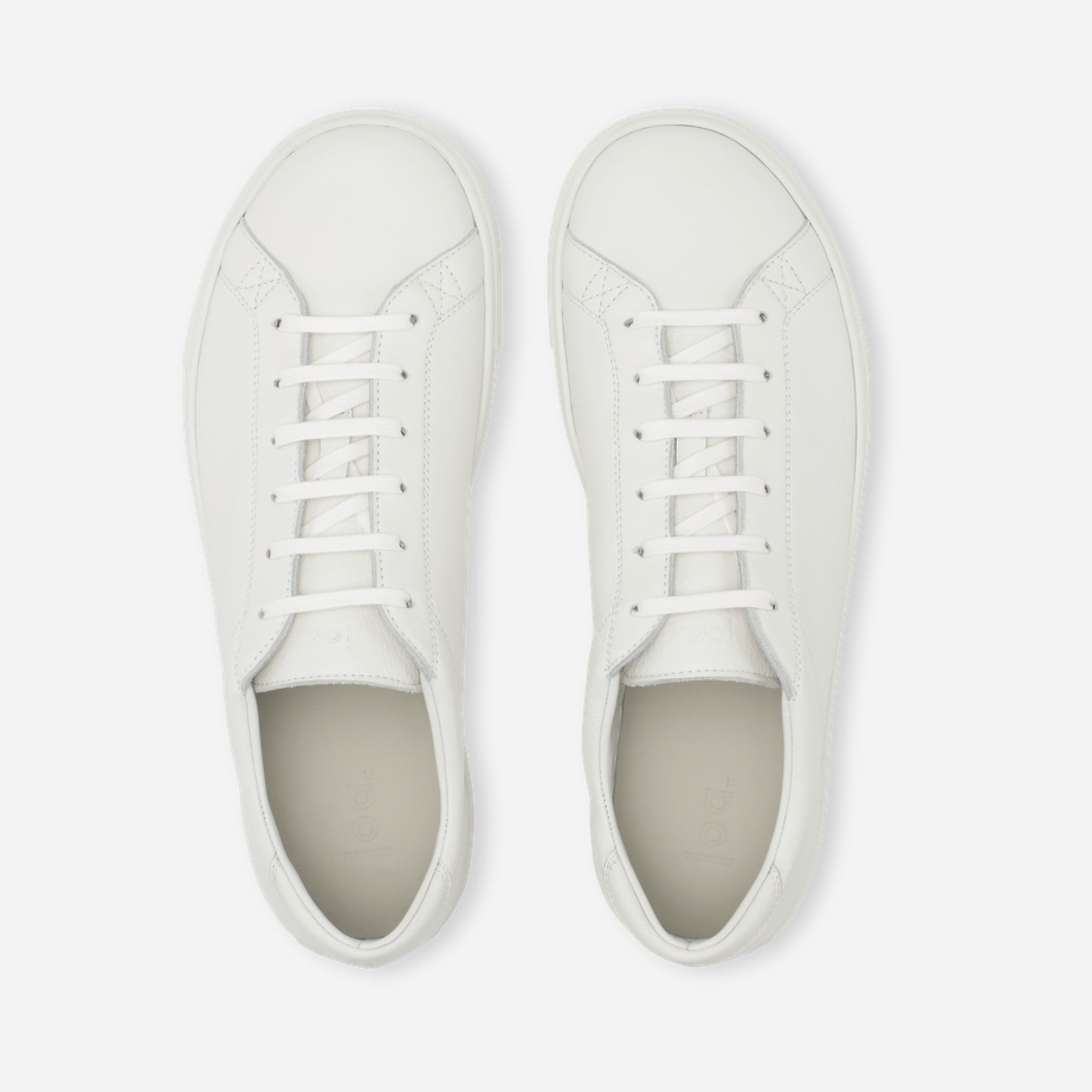 Phalanx – White