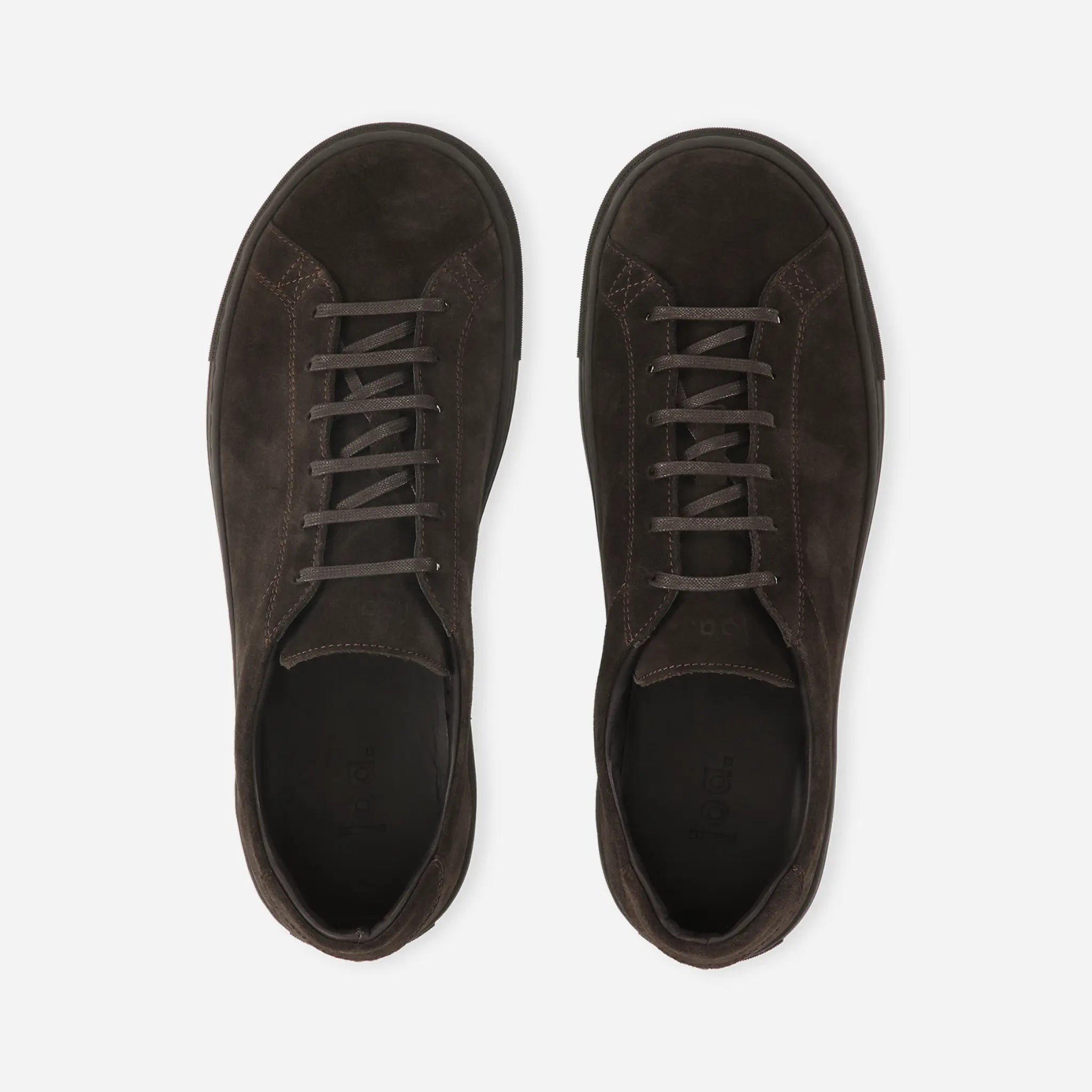 Phalanx – Dark Brown