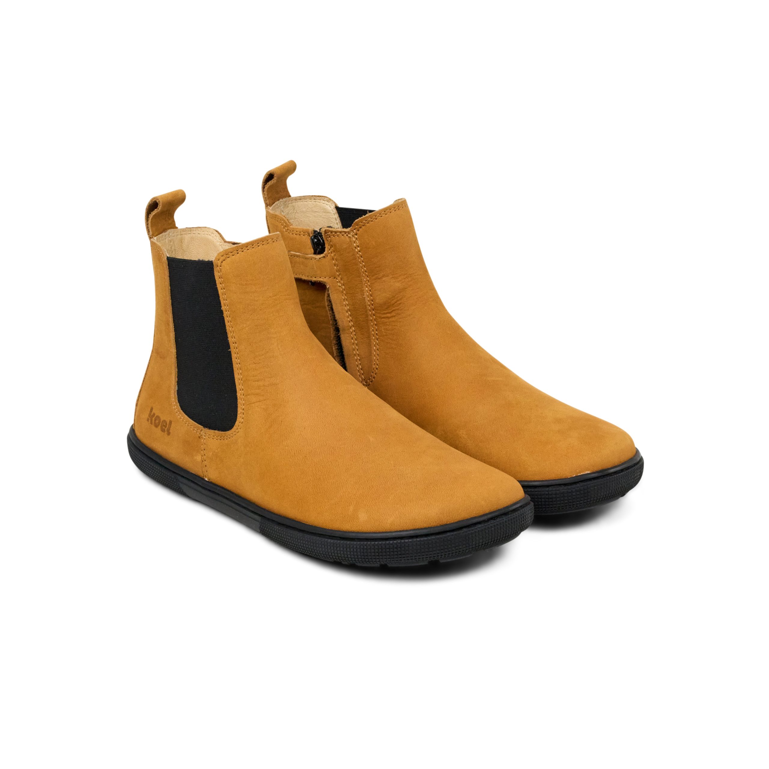 FILAS Hydro – Miel
