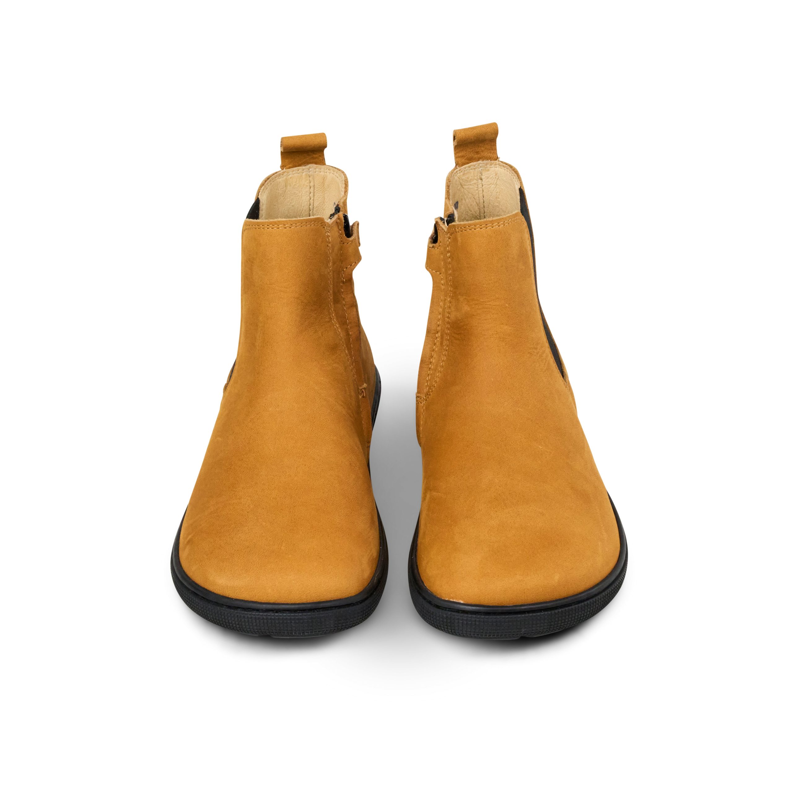 FILAS Hydro – Miel