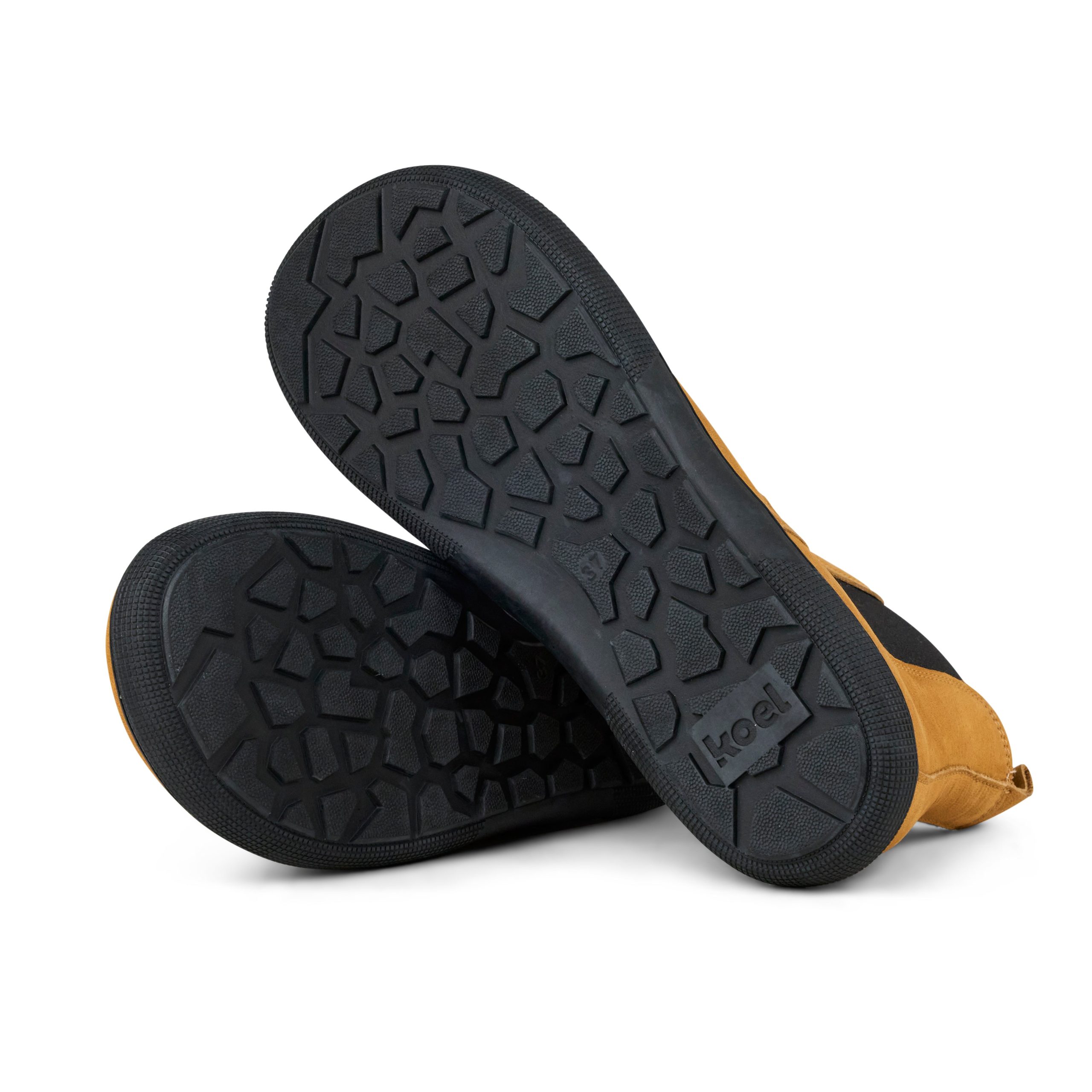 FILAS Hydro – Miel