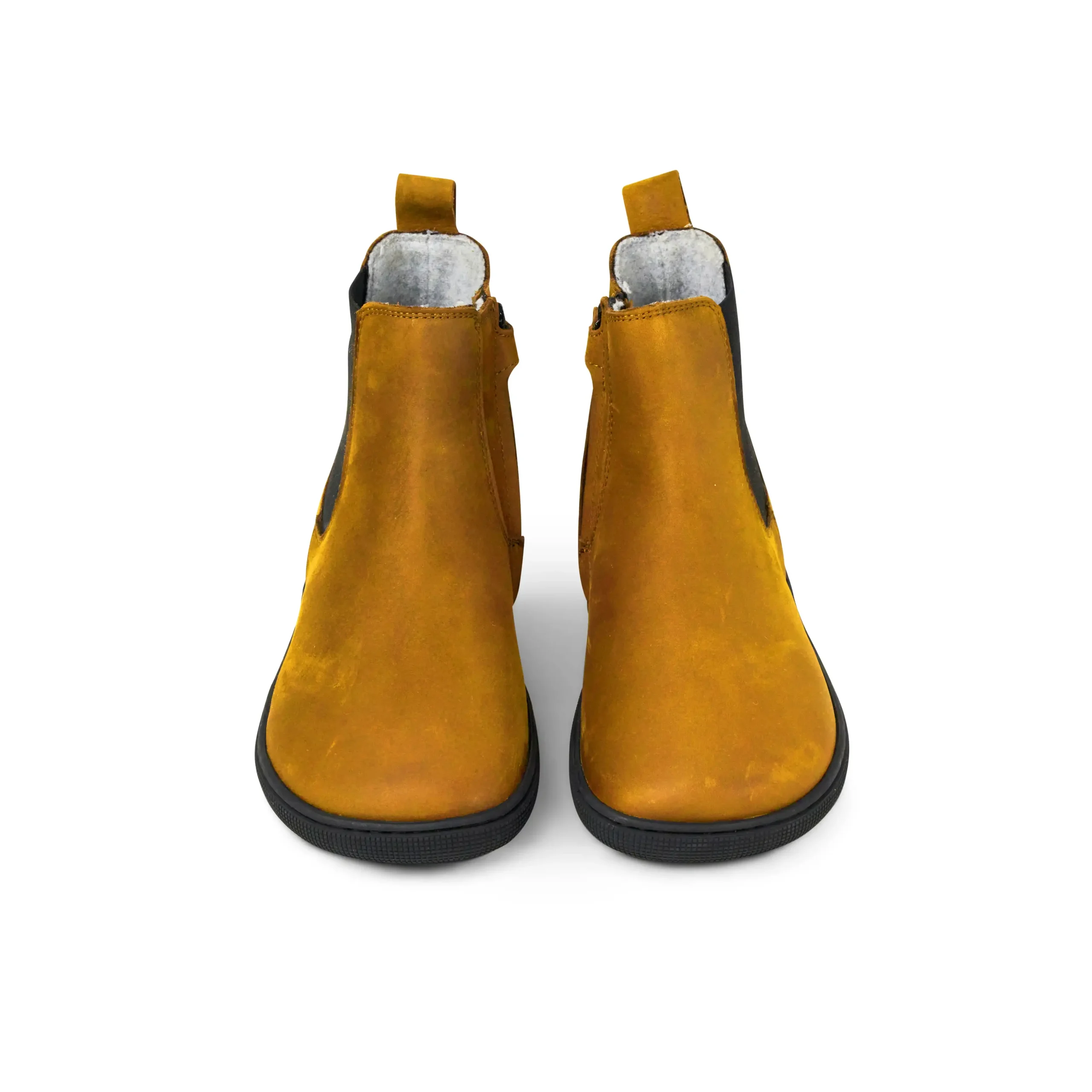 FILAS Merino – Miel
