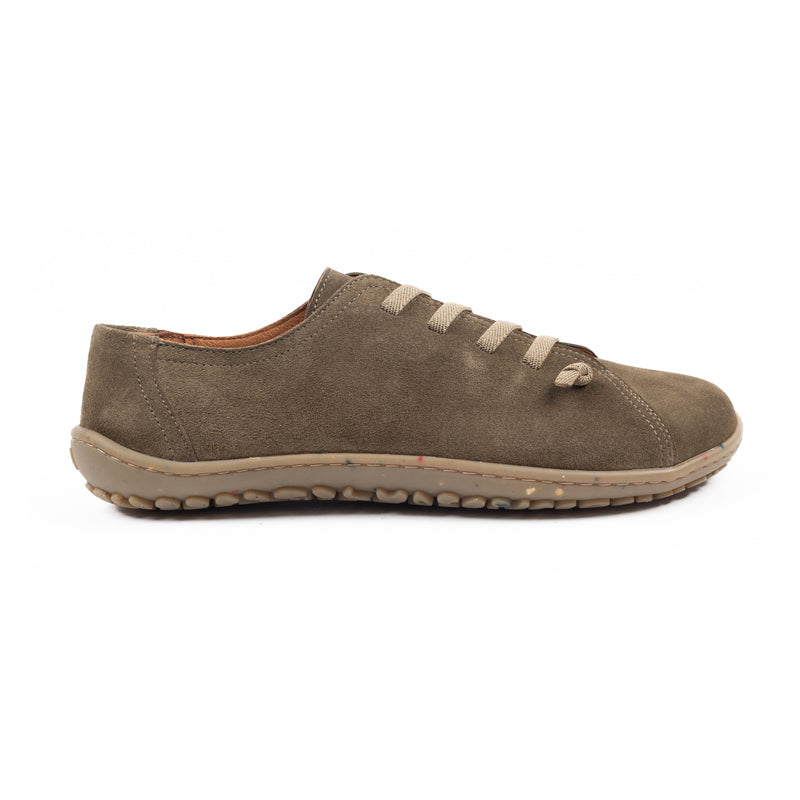 Olive / Taupe