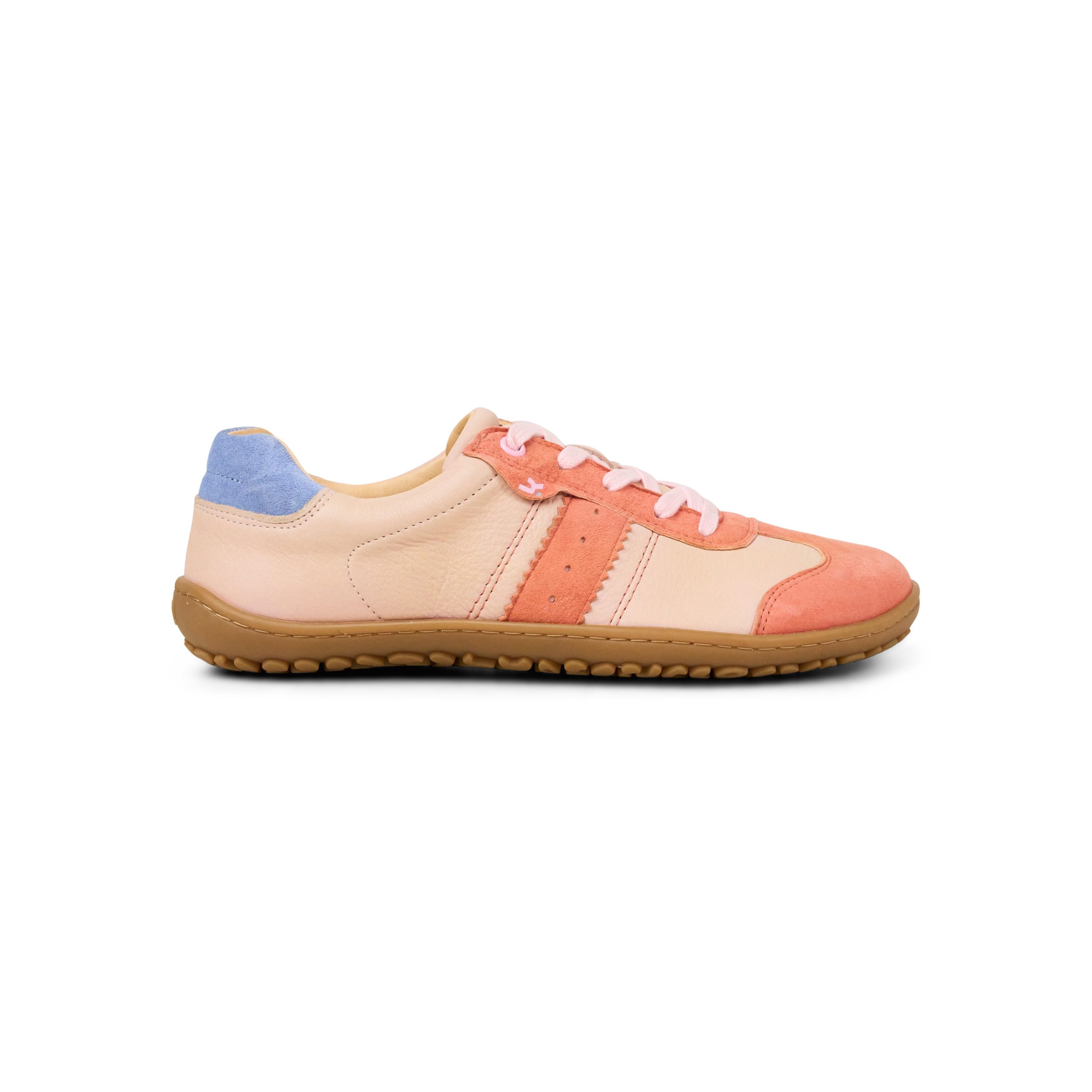 Multi / Orange / Rose