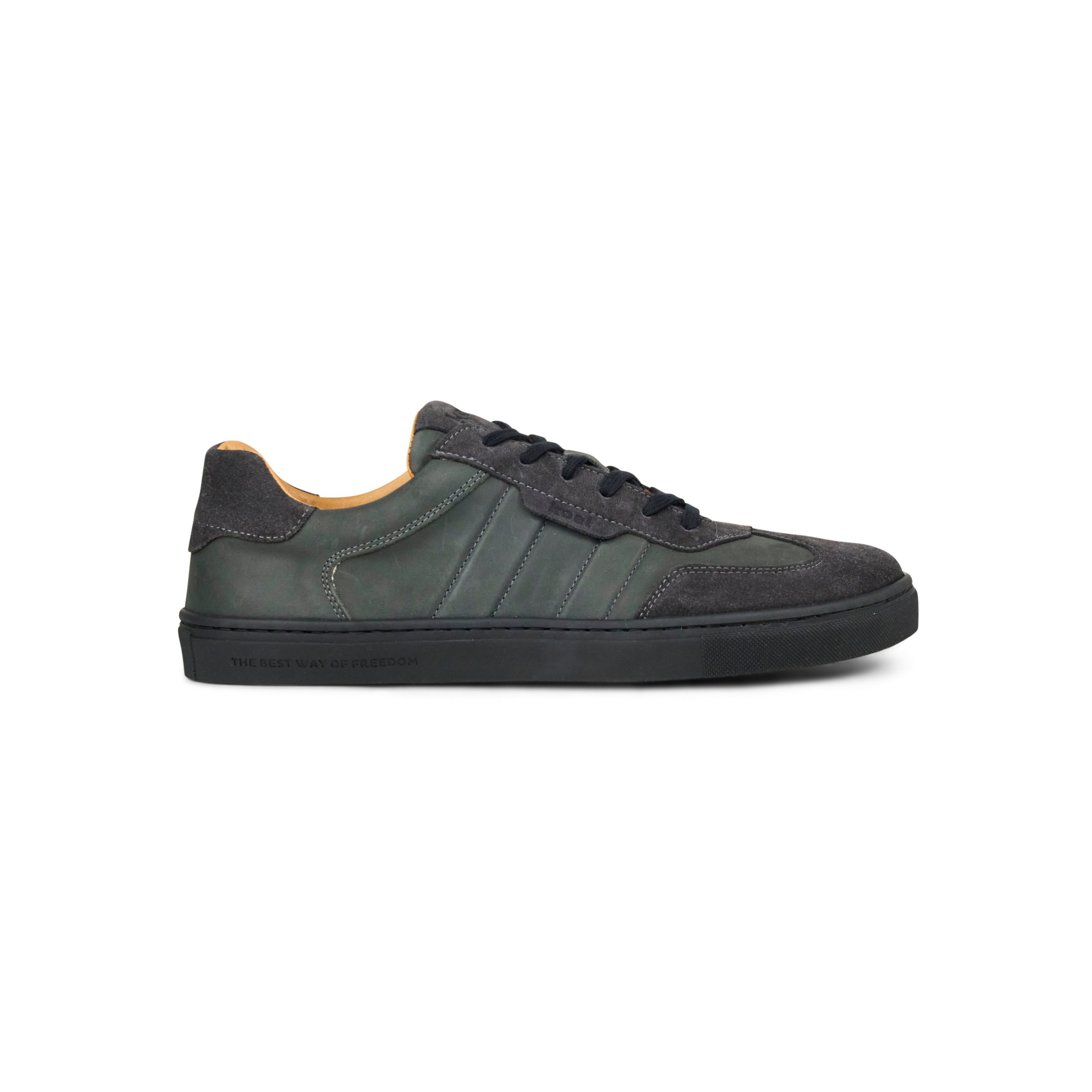 Green / Grey