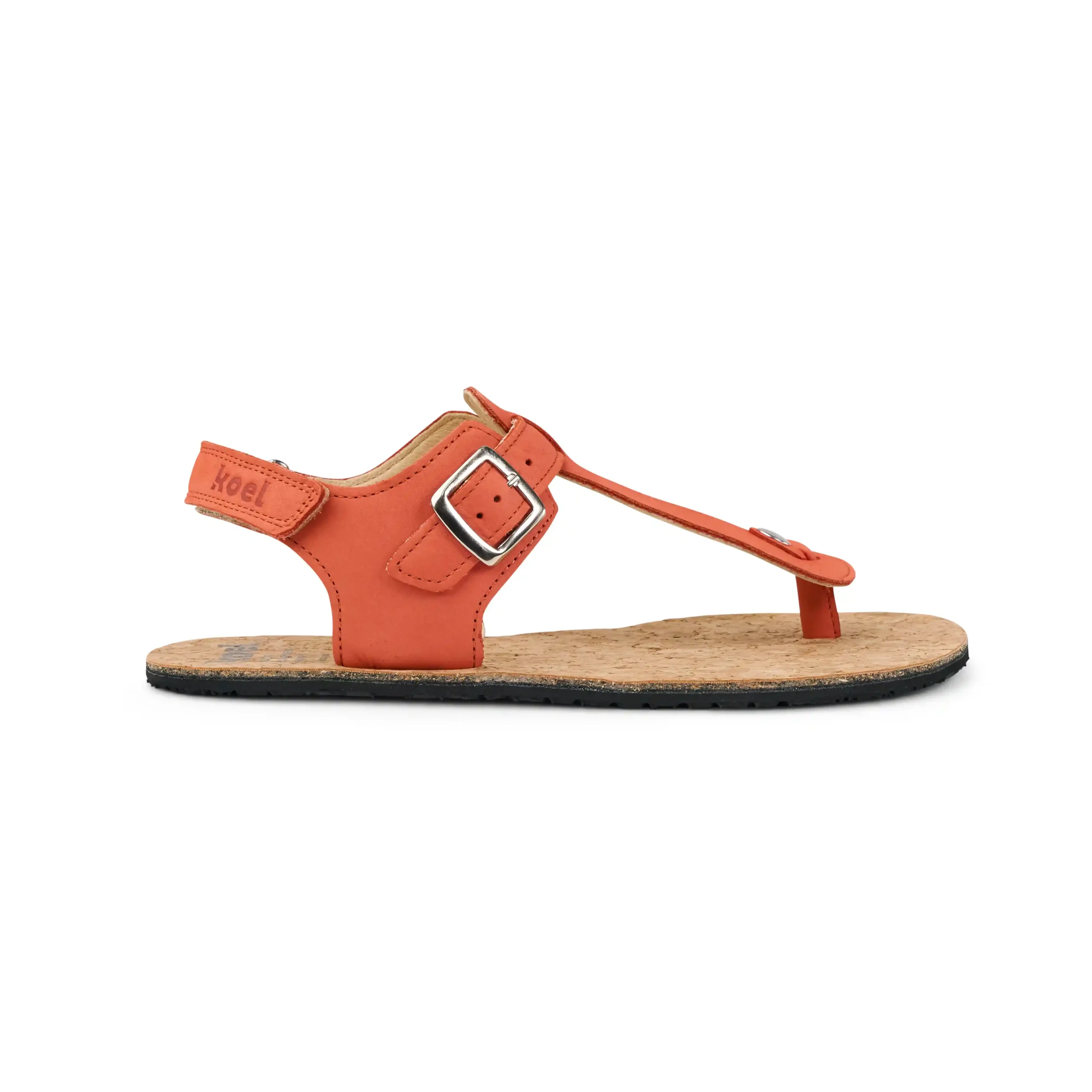 ARIANA Napa – Coral