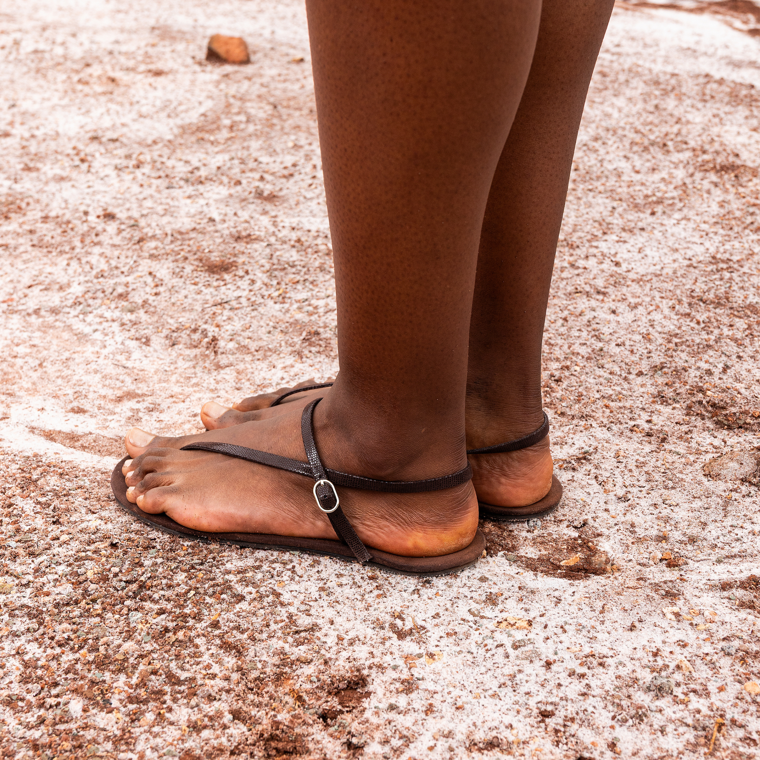 Fiji – Cocoa