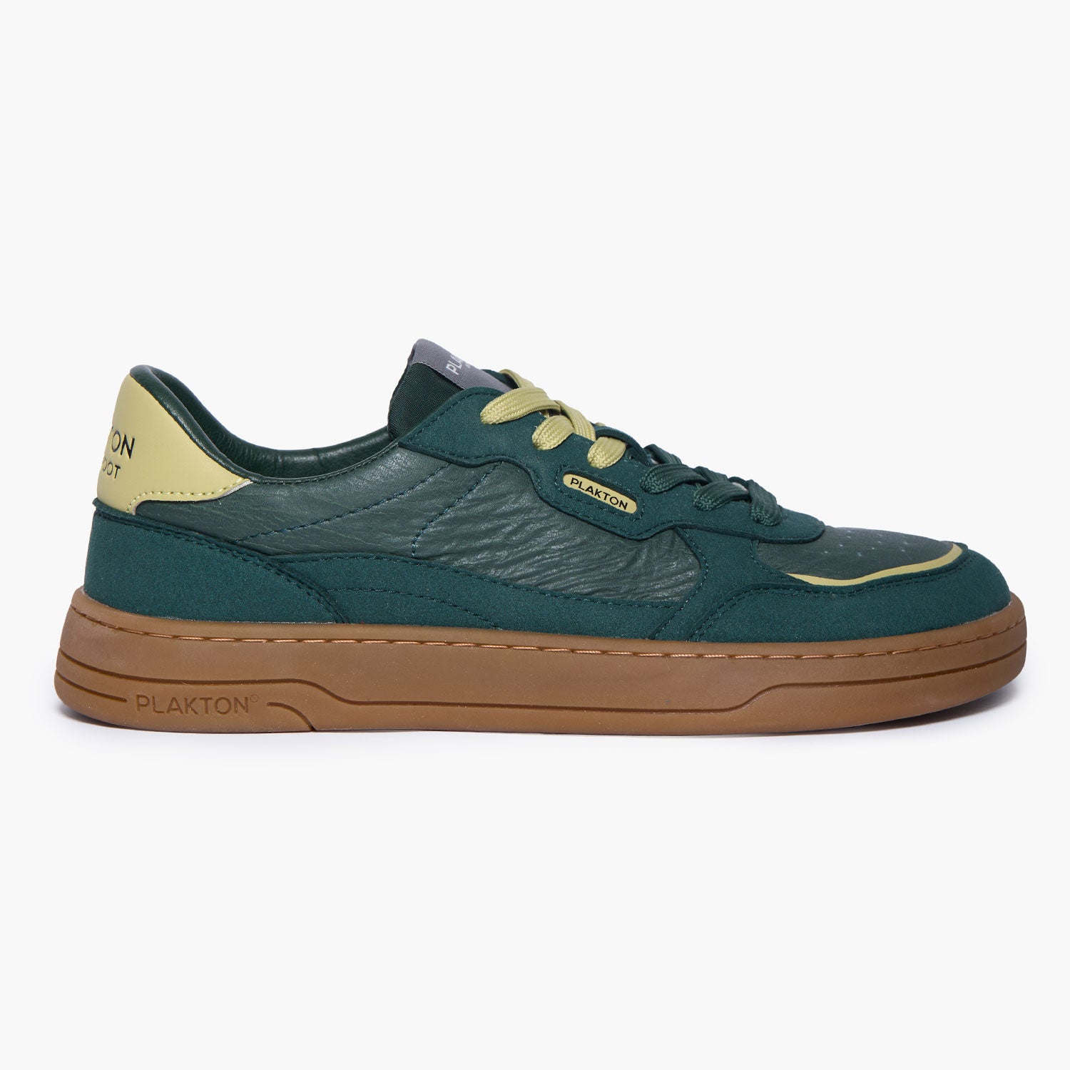 Green / Teal