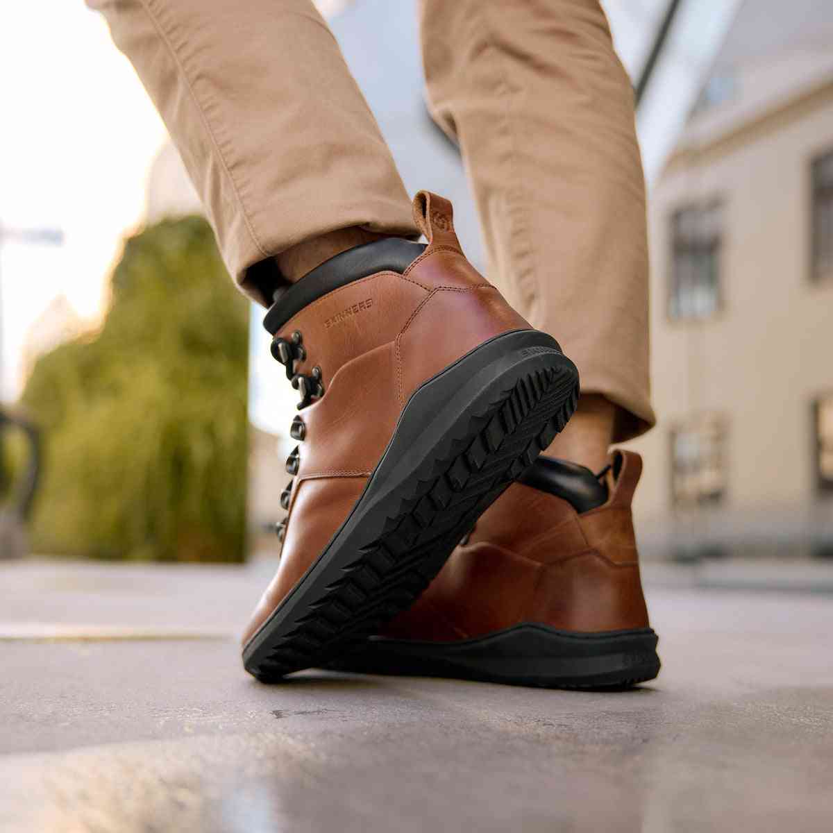 Cavalier – Cognac