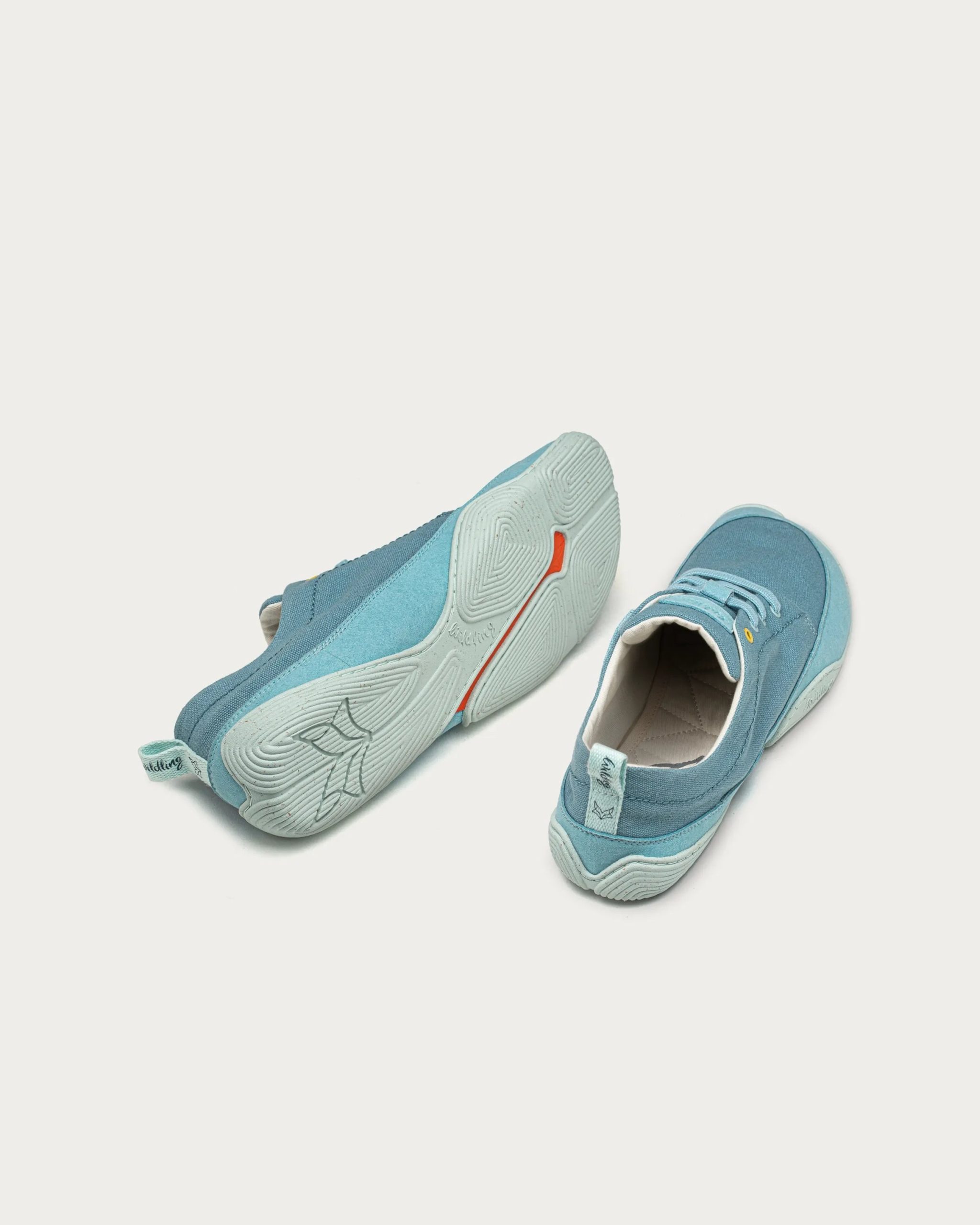 Cotinga – Petrol