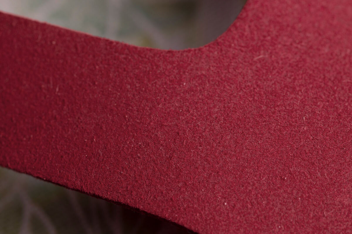 Feder – Fuchsia