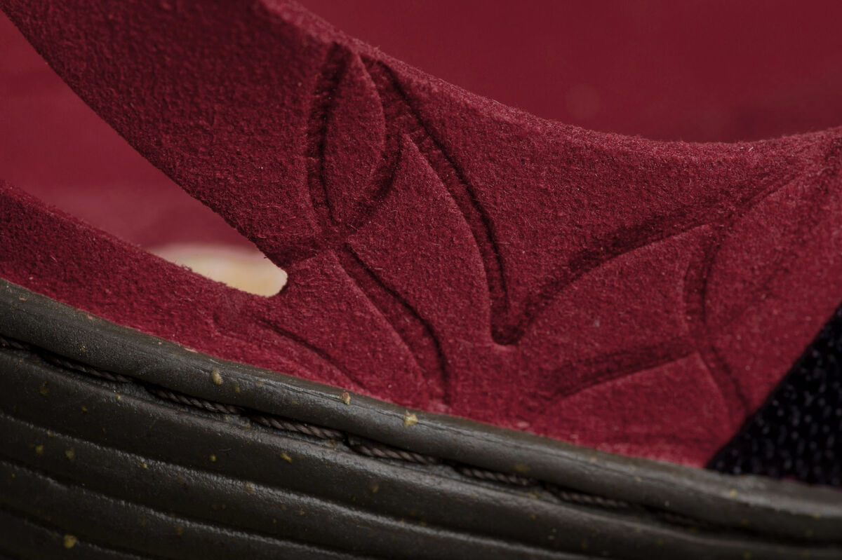 Feder – Fuchsia