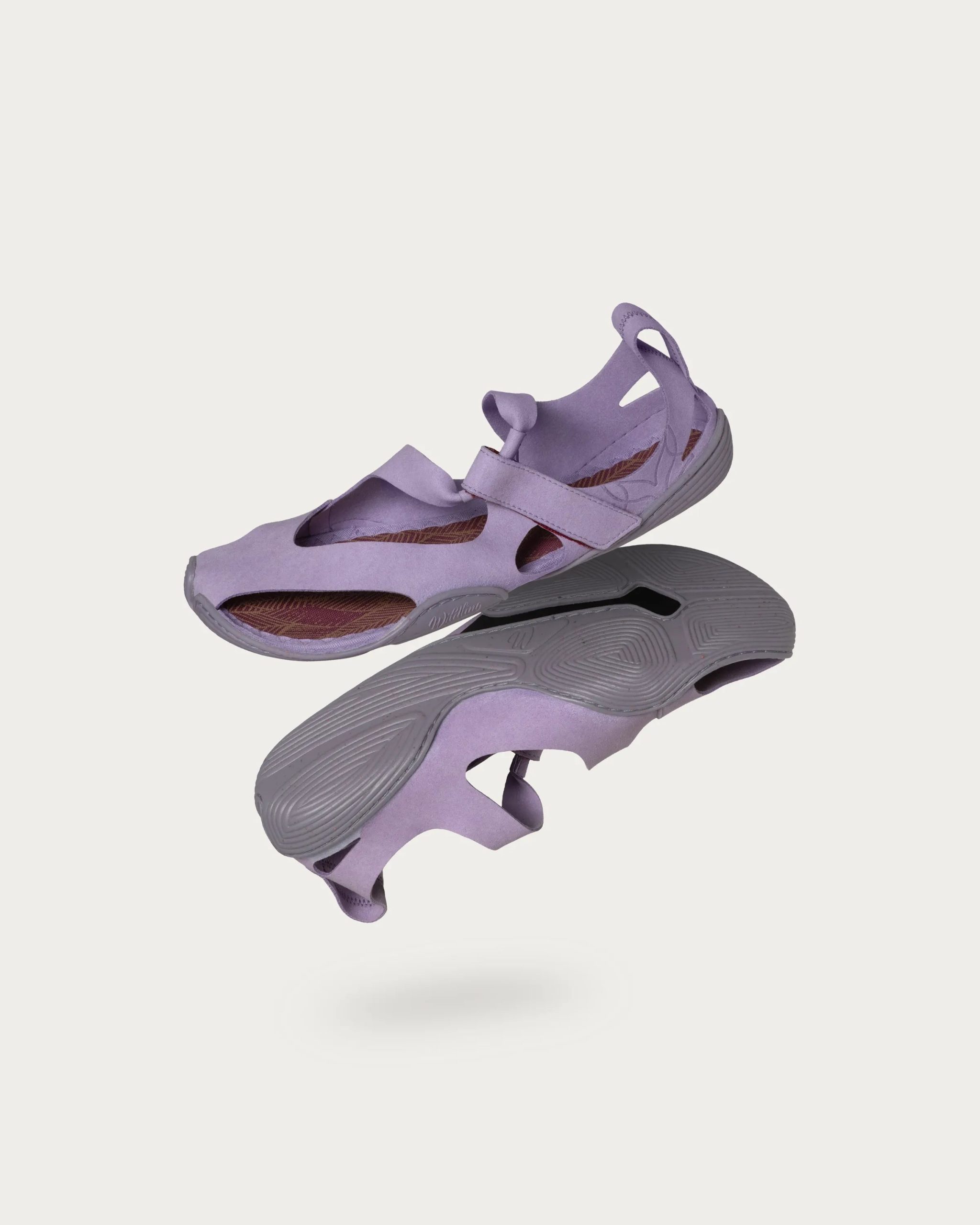 Feder – Lavendel